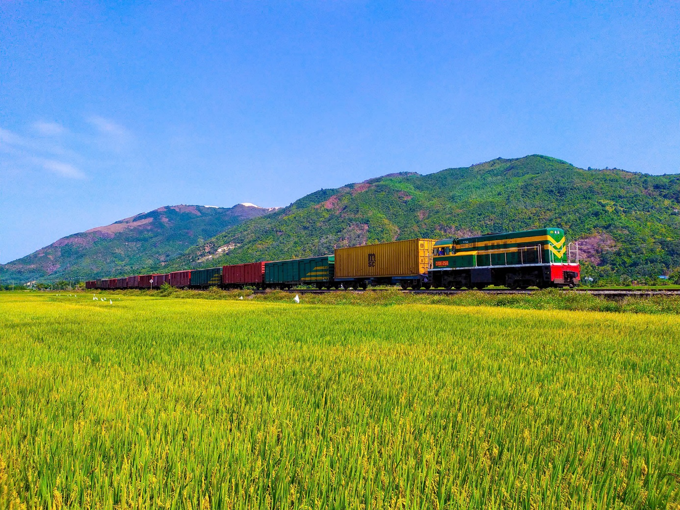 Tăng cường phân quyền, phân cấp quản lý Nhà nước về đường sắt- Ảnh 1.