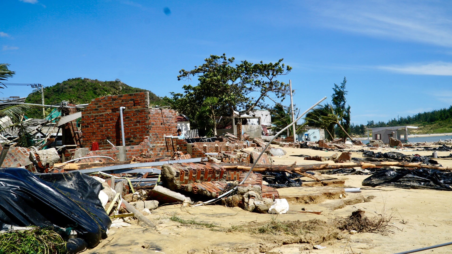 Xây mới, tái định cư cho hộ dân có nhà bị lũ cuốn trôi, sập đổ trước 31/1/2026- Ảnh 1.