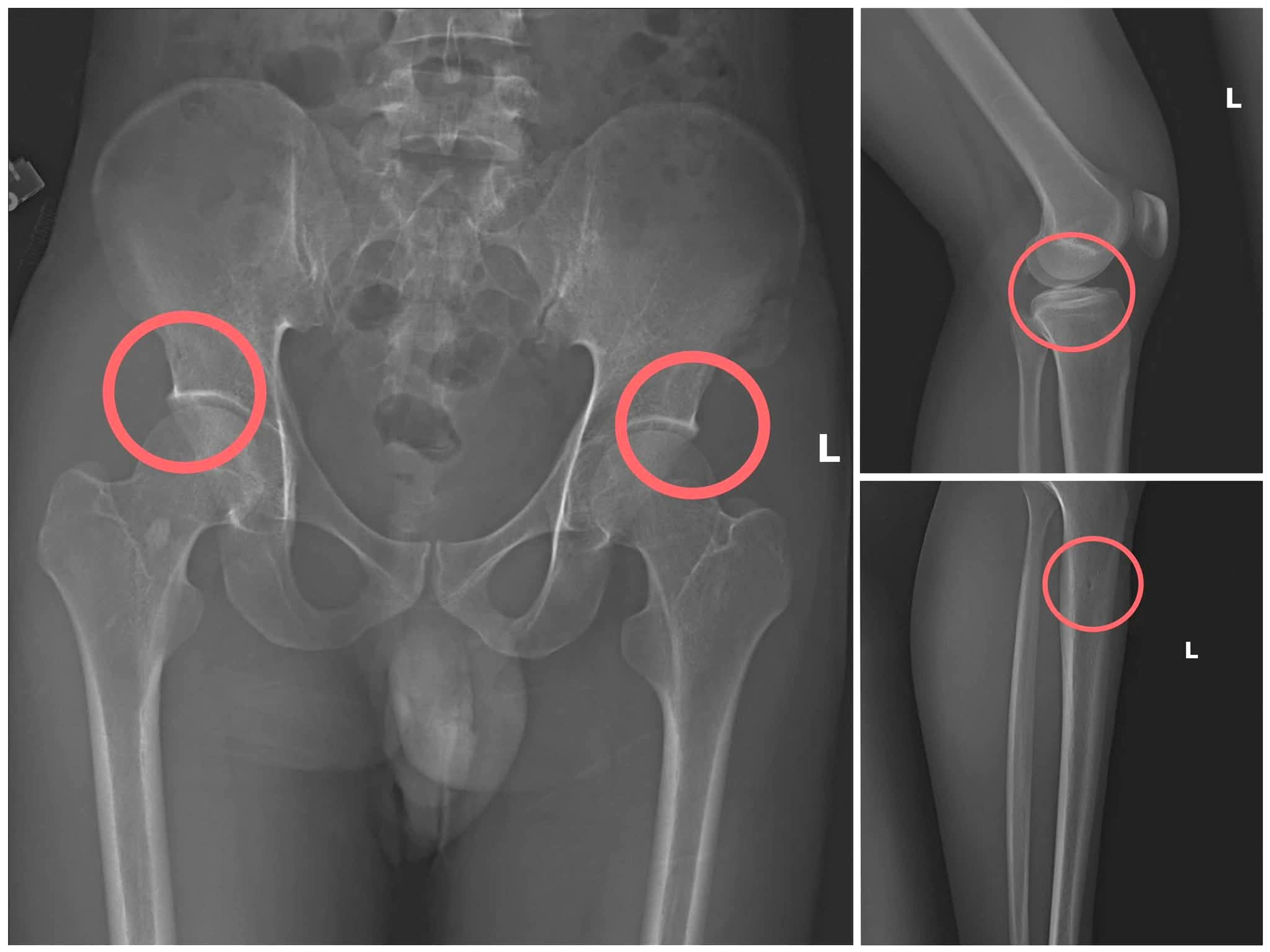 Công an Phú Thọ triệt phá đường dây chiếm đoạt hơn 6 tỷ đồng tiền bảo hiểm nhân thọ- Ảnh 4.