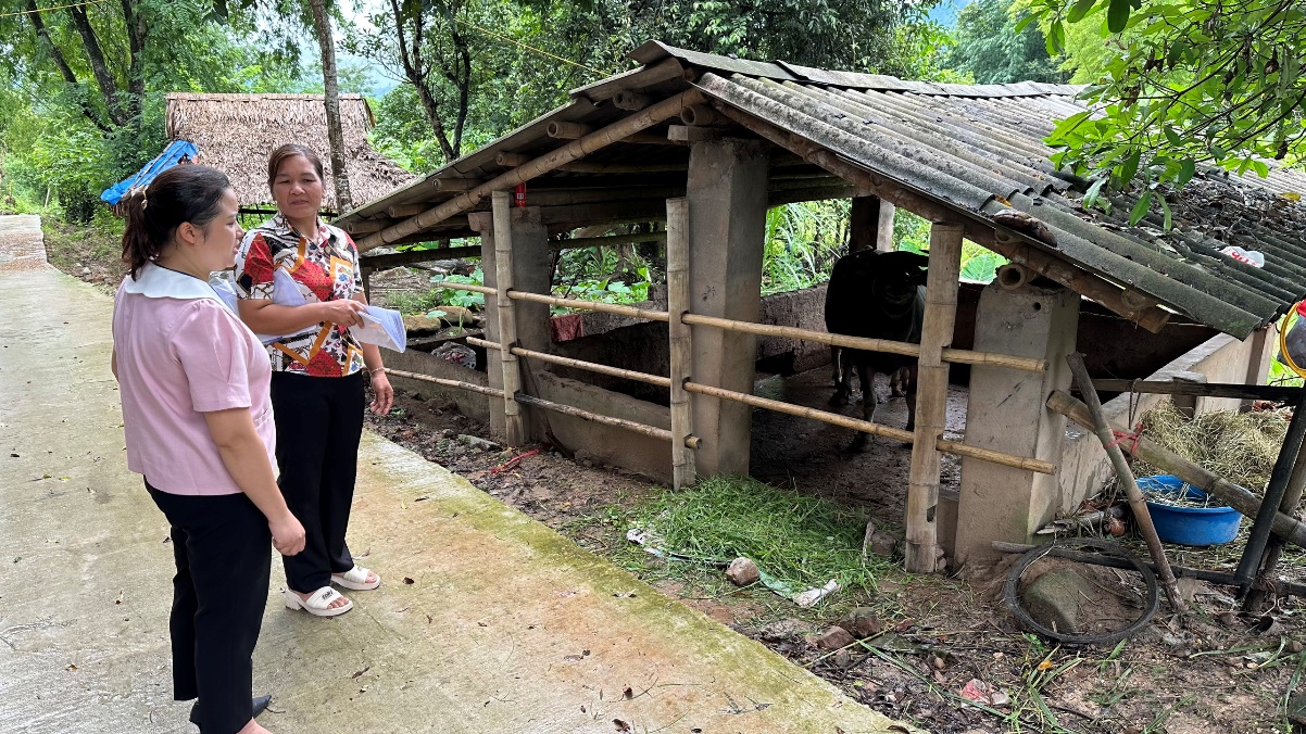 Phú Thọ: Phát triển kinh tế gắn liền với chăm lo an sinh xã hội cho người dân- Ảnh 2. Phú Thọ: Phát triển kinh tế gắn liền với chăm lo an sinh xã hội cho người dân- Ảnh 2.