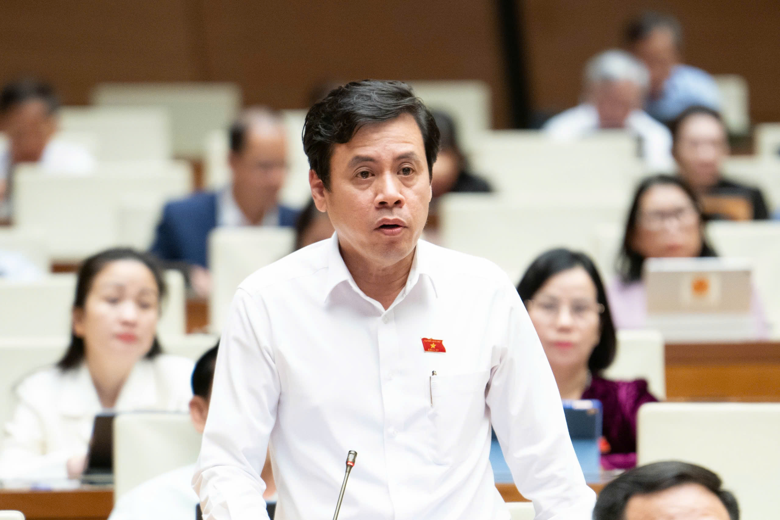 ĐBQH: Cần có chính sách hỗ trợ doanh nghiệp nghiên cứu, ứng dụng vật liệu xanh- Ảnh 2. ĐBQH: Cần có chính sách hỗ trợ doanh nghiệp nghiên cứu, ứng dụng vật liệu xanh- Ảnh 2.