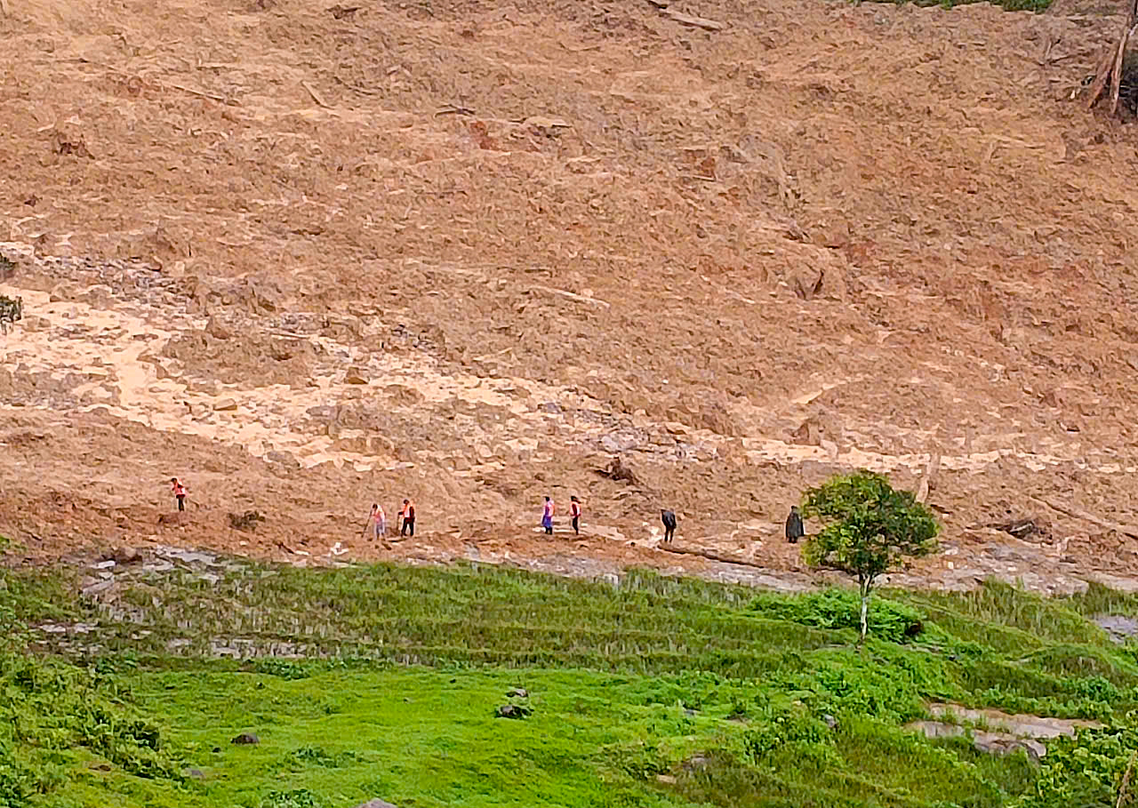 Đà Nẵng: Quân khu 5 đưa chó nghiệp vụ vào khu vực sạt lở tìm kiếm nạn nhân- Ảnh 2. Đà Nẵng: Quân khu 5 đưa chó nghiệp vụ vào khu vực sạt lở tìm kiếm nạn nhân- Ảnh 2.