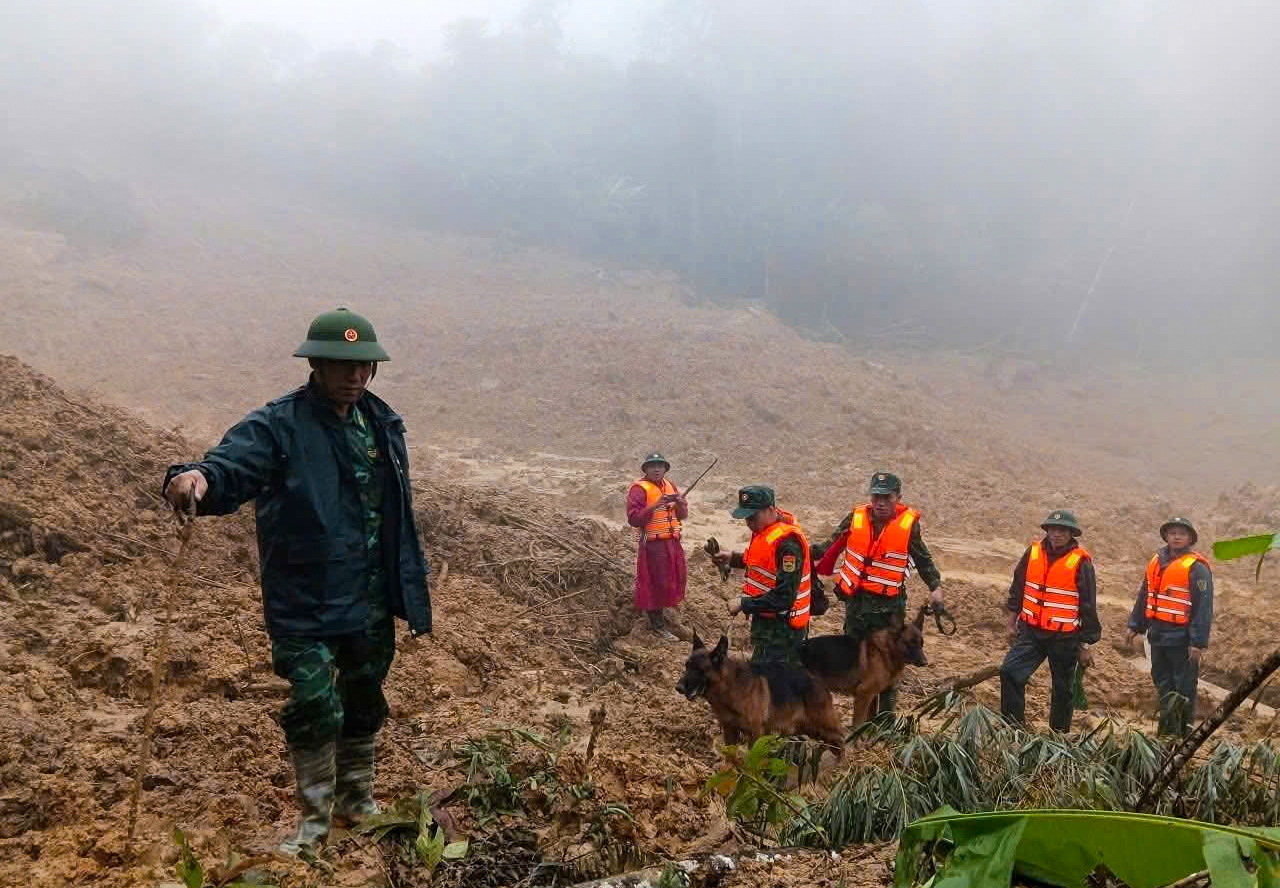 Đà Nẵng: Quân khu 5 đưa chó nghiệp vụ vào khu vực sạt lở tìm kiếm nạn nhân- Ảnh 1. Đà Nẵng: Quân khu 5 đưa chó nghiệp vụ vào khu vực sạt lở tìm kiếm nạn nhân- Ảnh 1.