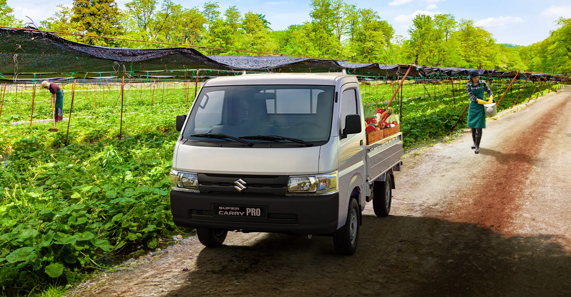 Doanh số ô tô Suzuki sụt giảm mạnh, vì sao?- Ảnh 1. Doanh số ô tô Suzuki sụt giảm mạnh, vì sao?- Ảnh 1.