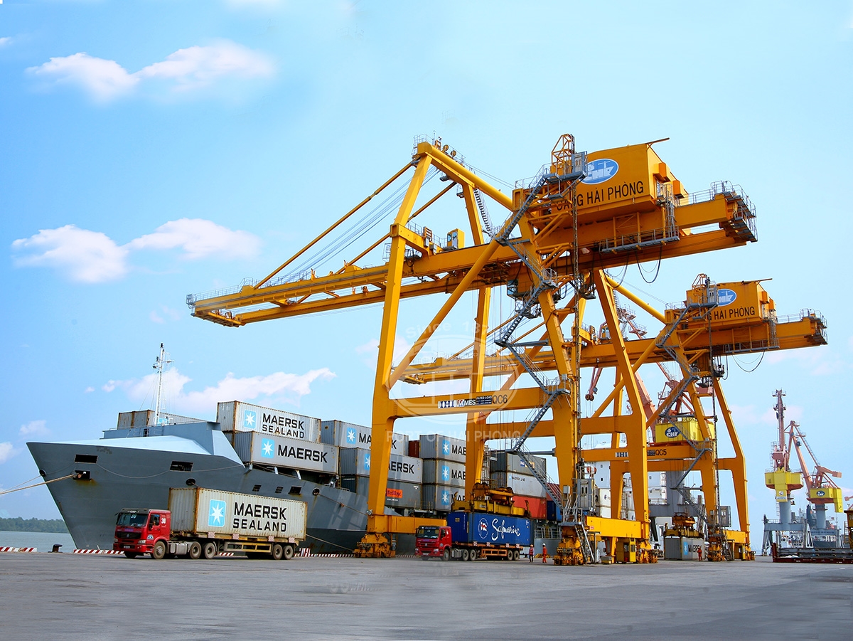 Cảng Chùa Vẽ trước áp lực di dời: Vì sao chỉ còn một phương án khả thi?- Ảnh 1. Cảng Chùa Vẽ trước áp lực di dời: Vì sao chỉ còn một phương án khả thi?- Ảnh 1.