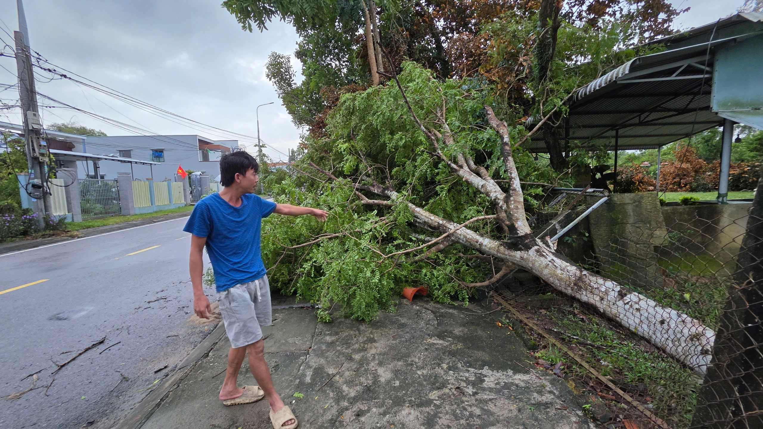 Lốc xoáy ở Đà Nẵng, 4 người bị thương, hơn 30 ngôi nhà tốc mái- Ảnh 6. Lốc xoáy ở Đà Nẵng, 4 người bị thương, hơn 30 ngôi nhà tốc mái- Ảnh 6.
