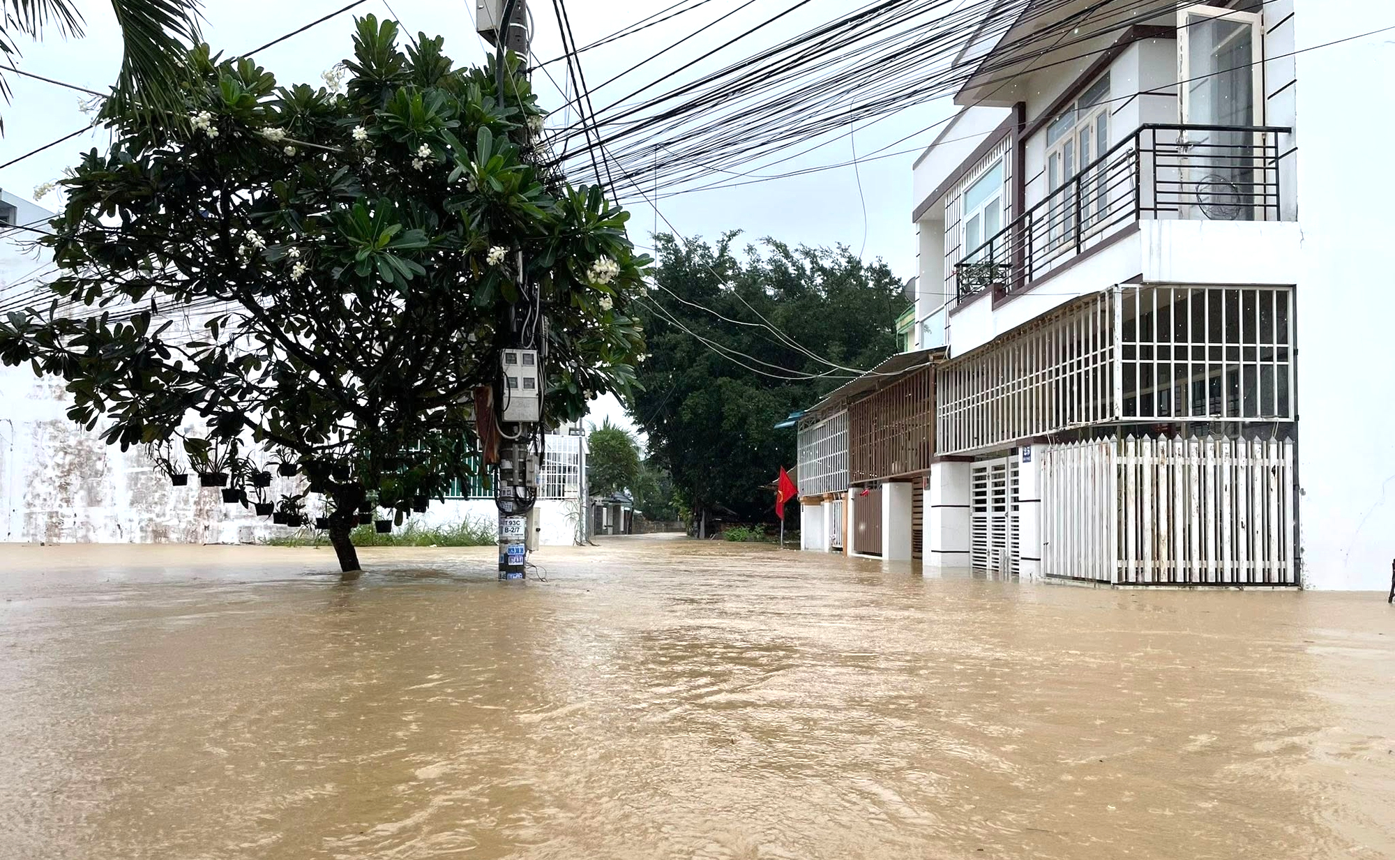 Tìm thấy thi thể nam thanh niên bị lũ cuốn ở Nha Trang- Ảnh 2. Tìm thấy thi thể nam thanh niên bị lũ cuốn ở Nha Trang- Ảnh 2.