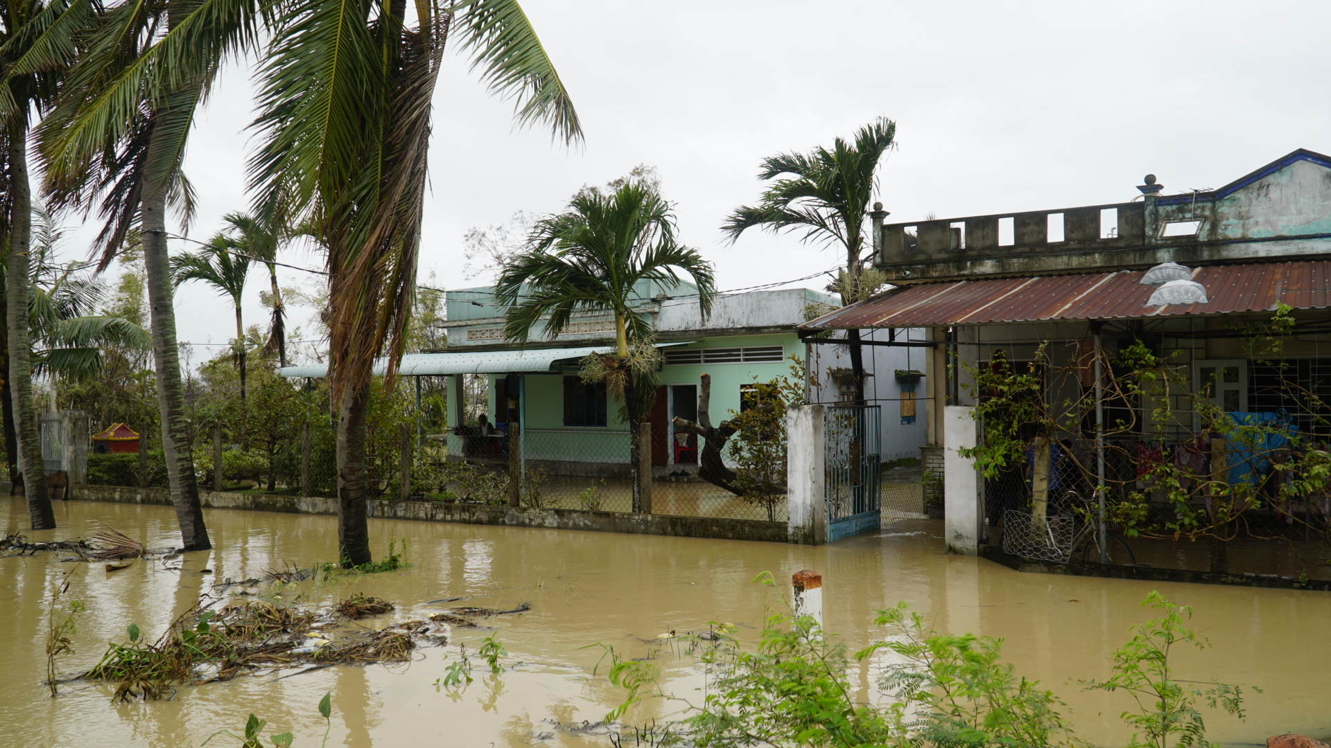 Gia Lai: 3.200 hộ bị ngập lụt, cô lập do mưa lớn kéo dài- Ảnh 3.
