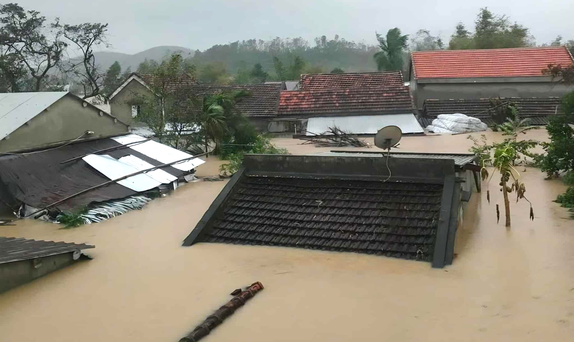 Ph&oacute; Thủ tướng Hồ Quốc Dũng: Khẩn cấp sơ t&aacute;n người d&acirc;n, huy động th&ecirc;m ca n&ocirc; trước lũ dữ- Ảnh 3.