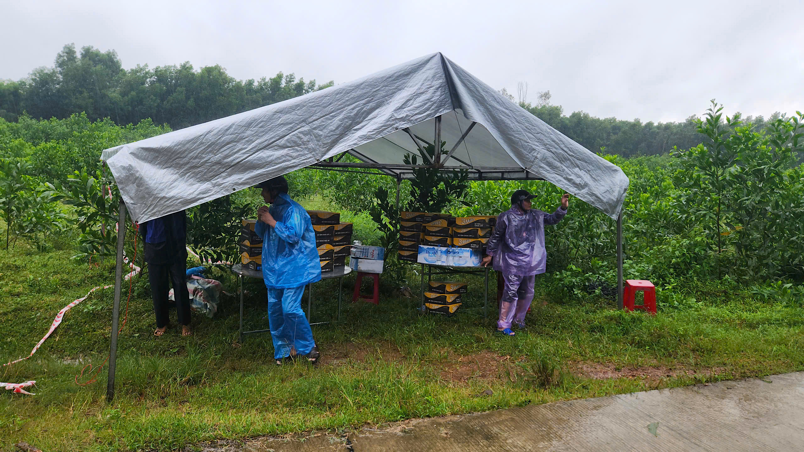 12 giờ dựng xong cầu tạm, nối lưu thông đoạn cầu sập do mưa lũ ở Quảng Ngãi- Ảnh 3. 12 giờ dựng xong cầu tạm, nối lưu thông đoạn cầu sập do mưa lũ ở Quảng Ngãi- Ảnh 3.