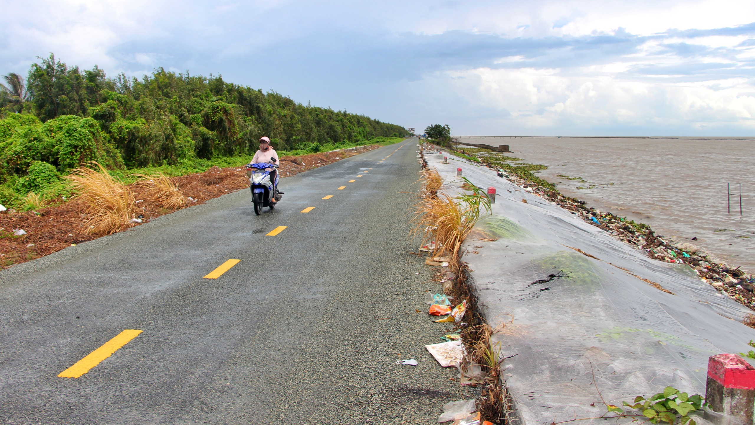 Cà Mau: Chuyển mục đích sử dụng hơn 21ha rừng xây dựng đê biển Tây, kè chống sạt lở- Ảnh 2.