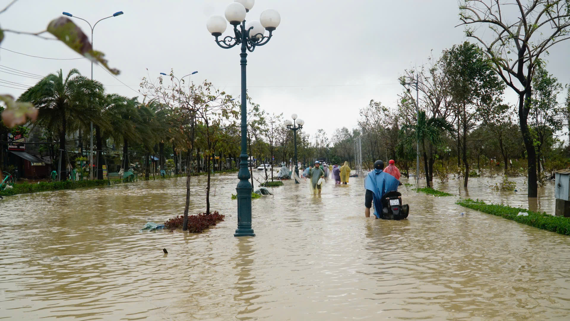 Mưa lũ miền Trung: Đèo Phượng Hoàng tiếp tục sạt lở, 15 người chết và mất tích ở Đắk Lắk- Ảnh 3. Mưa lũ miền Trung: Đèo Phượng Hoàng tiếp tục sạt lở, 15 người chết và mất tích ở Đắk Lắk- Ảnh 3.