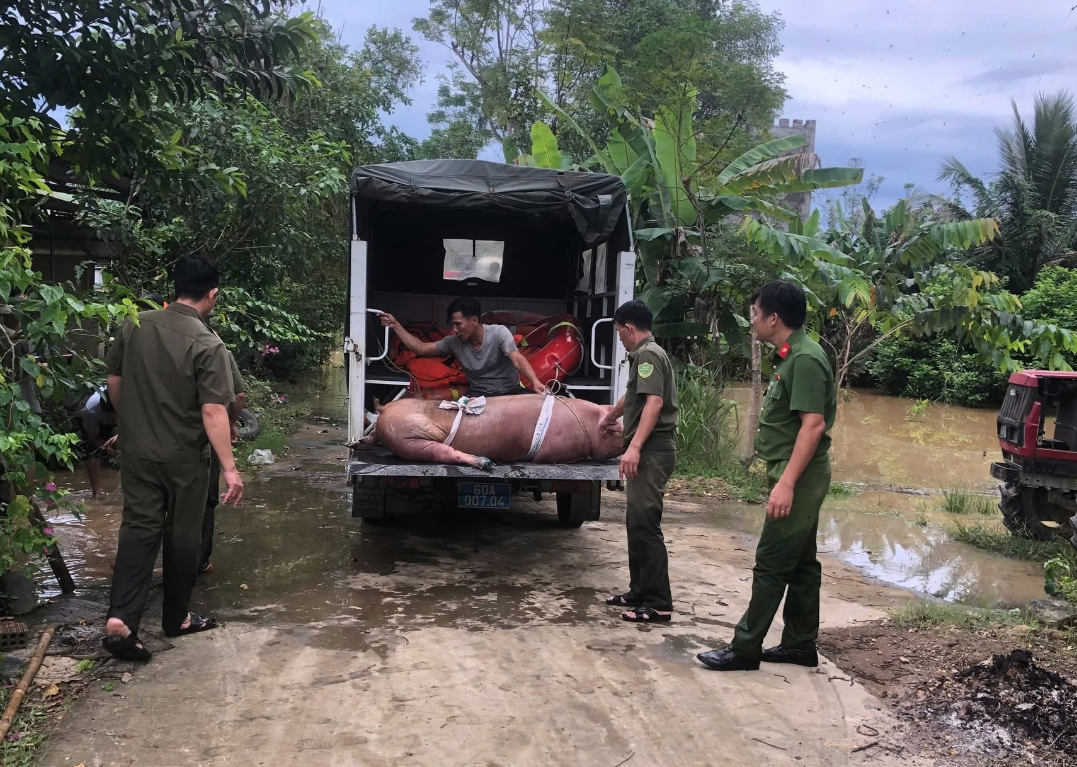 Mực nước sông Đồng Nai vượt báo động 2, nhiều vùng trũng nguy cơ ngập- Ảnh 4.