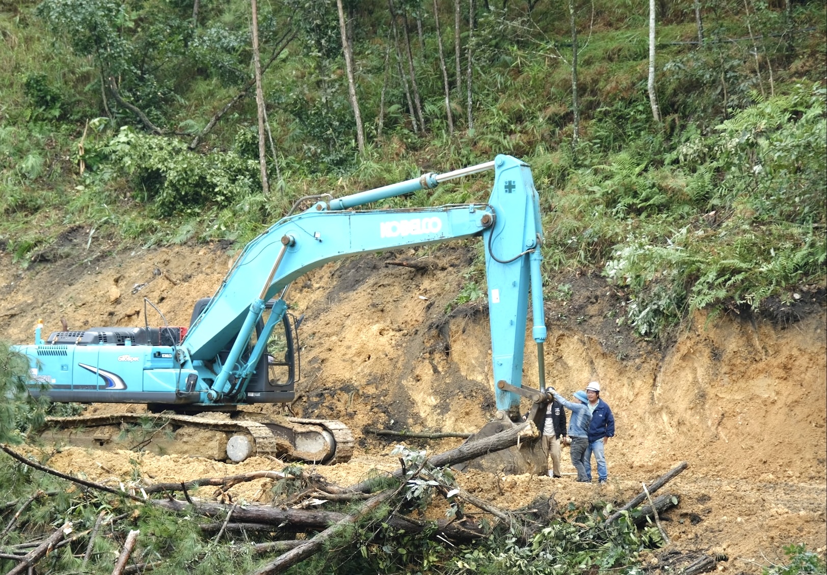 Phó Thủ tướng Hồ Quốc Dũng kiểm tra hiện trường sạt lở đèo Prenn và Mimosa- Ảnh 2.
