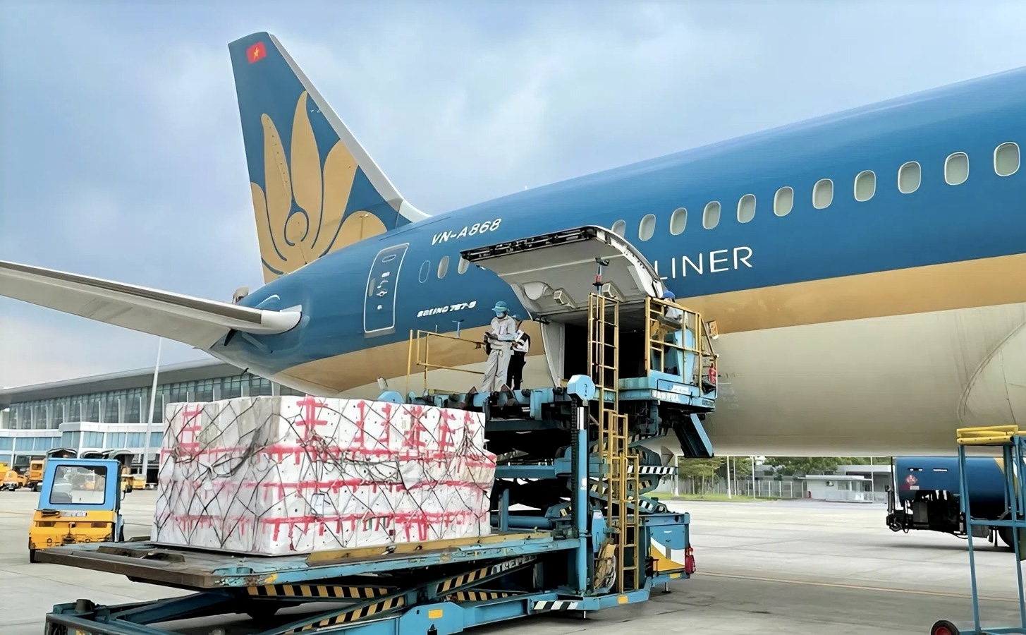 Vietnam Airlines vận chuyển miễn phí hàng hóa hỗ trợ đồng bào vùng lũ miền Trung- Ảnh 1.
