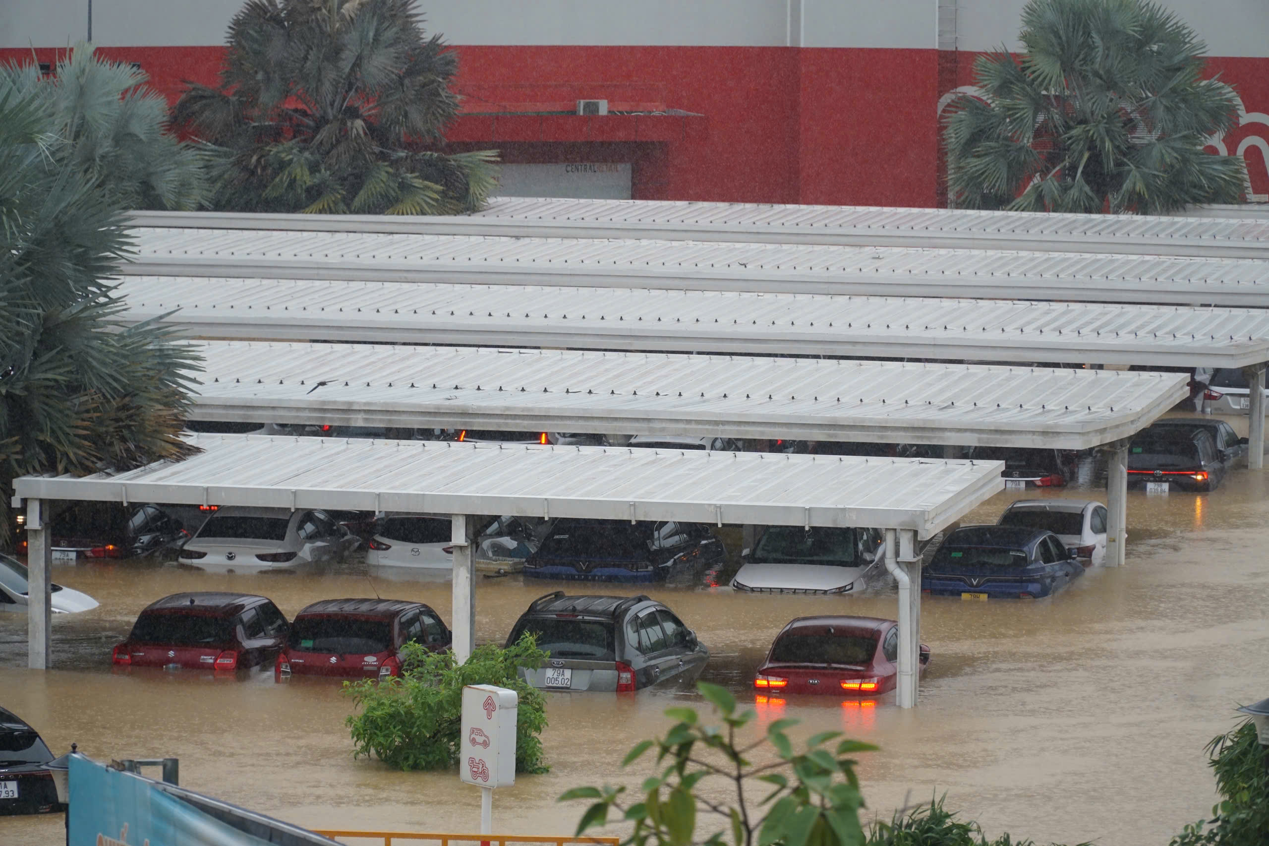 Hàng loạt ô tô ngập sâu trong nước ở Khánh Hòa- Ảnh 4.