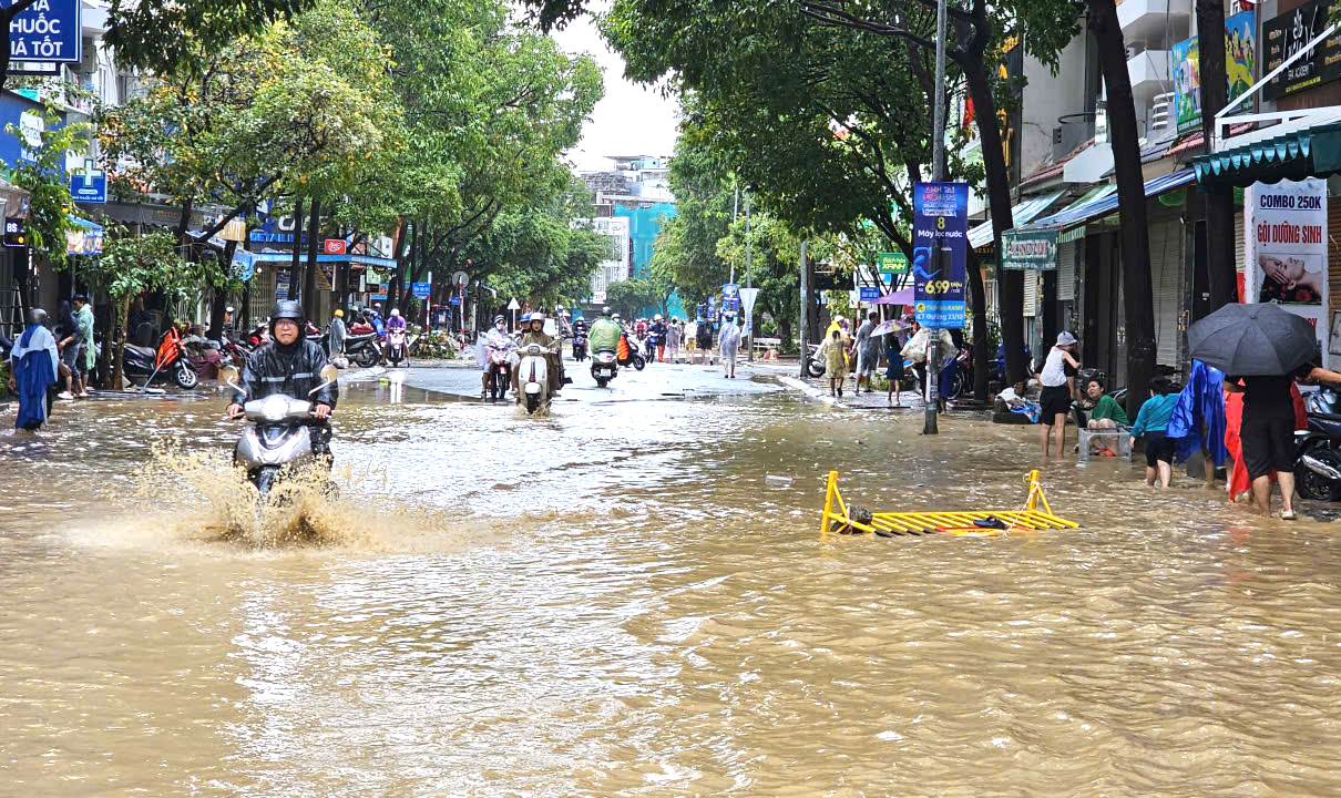 Người dân Nha Trang khẩn trương dọn dẹp, ổn định cuộc sống sau lũ
- Ảnh 4.