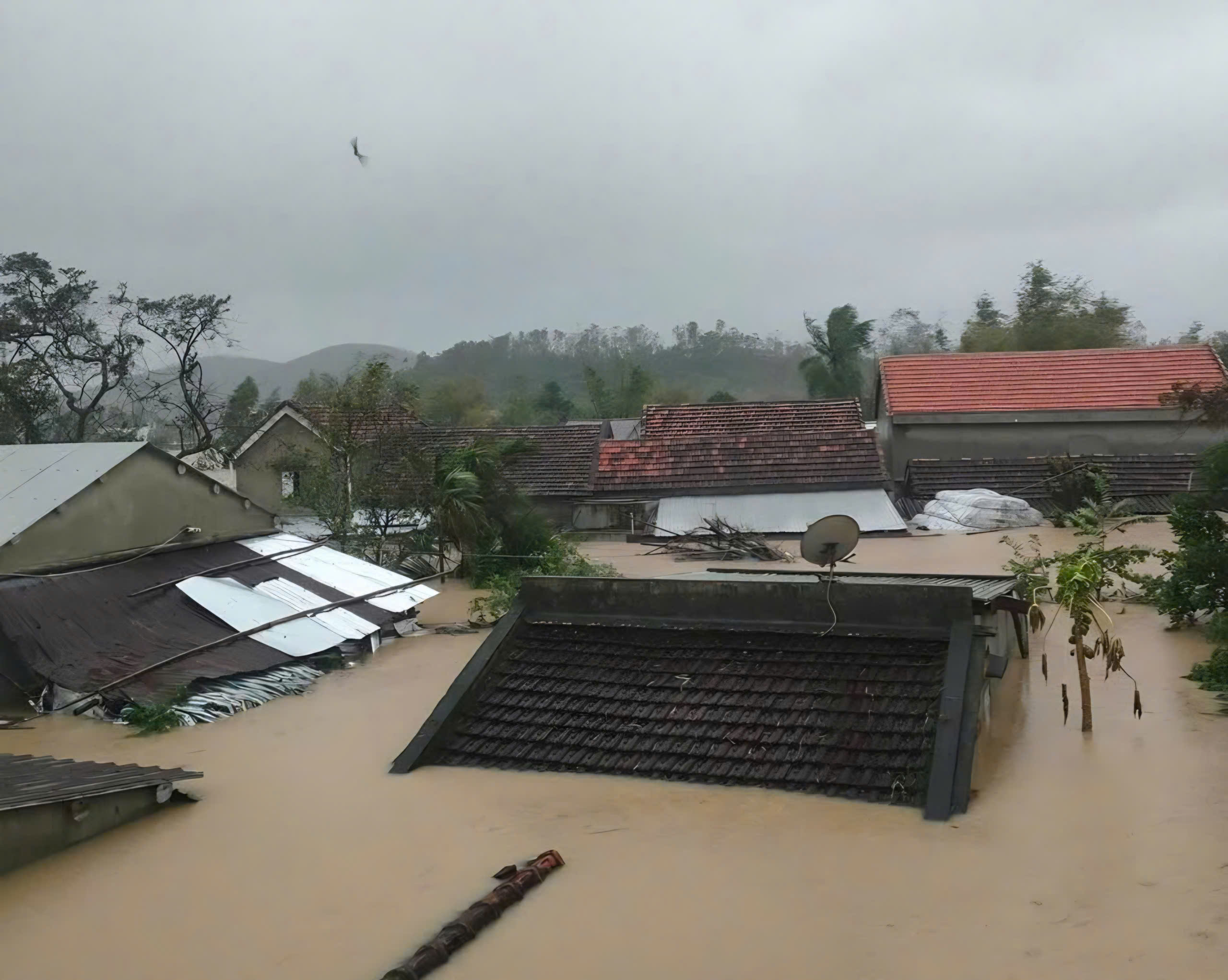 Đắk Lắk có 27 người chết do đợt lũ lịch sử, nhiều tỉnh miền Trung gia tăng thiệt hại- Ảnh 2.