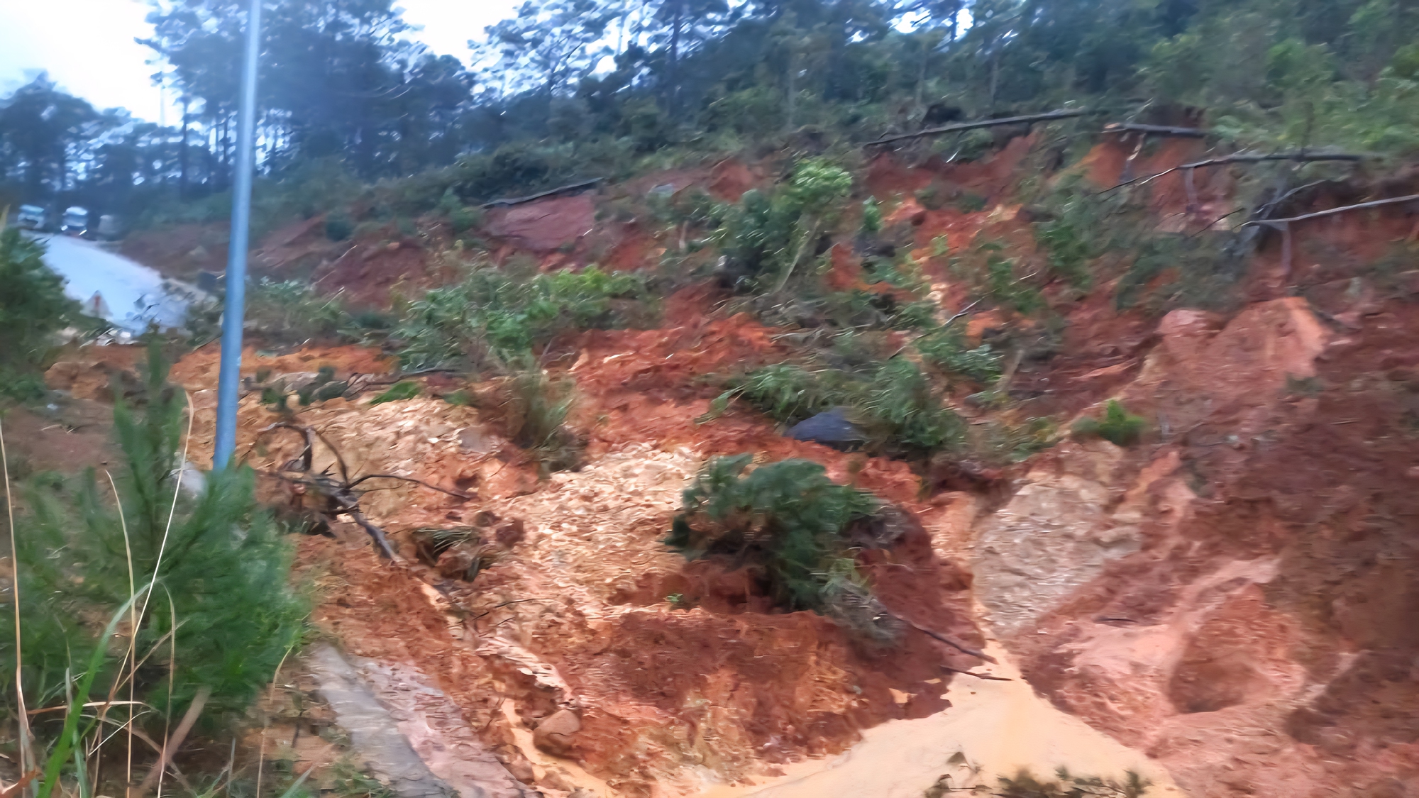 Quảng Ngãi: Sạt lở nghiêm trọng trên quốc lộ 24 qua Măng Đen, giao thông tê liệt- Ảnh 1.