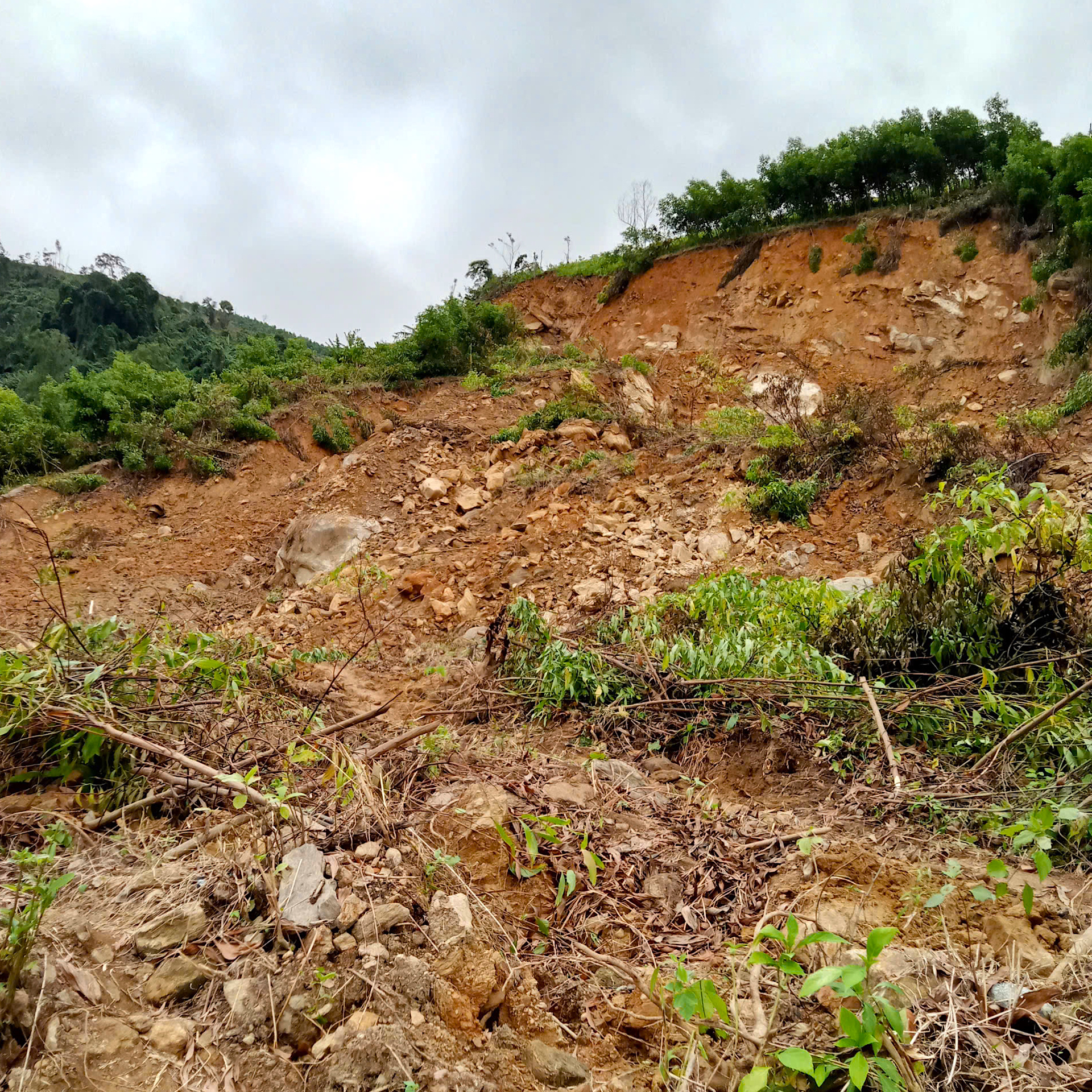 Quảng Ngãi: Đường sụp thành vực sâu, hàng trăm hộ dân bị chia cắt- Ảnh 8.