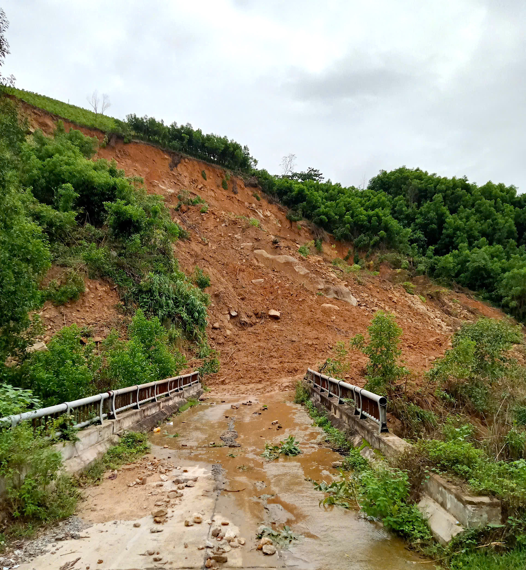 Quảng Ngãi: Đường sụp thành vực sâu, hàng trăm hộ dân bị chia cắt- Ảnh 9.