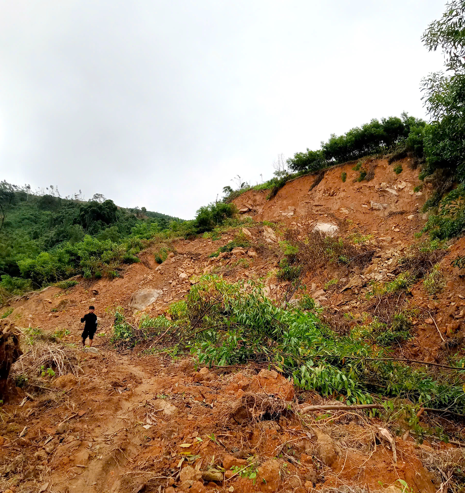 Quảng Ngãi: Đường sụp thành vực sâu, hàng trăm hộ dân bị chia cắt- Ảnh 11.