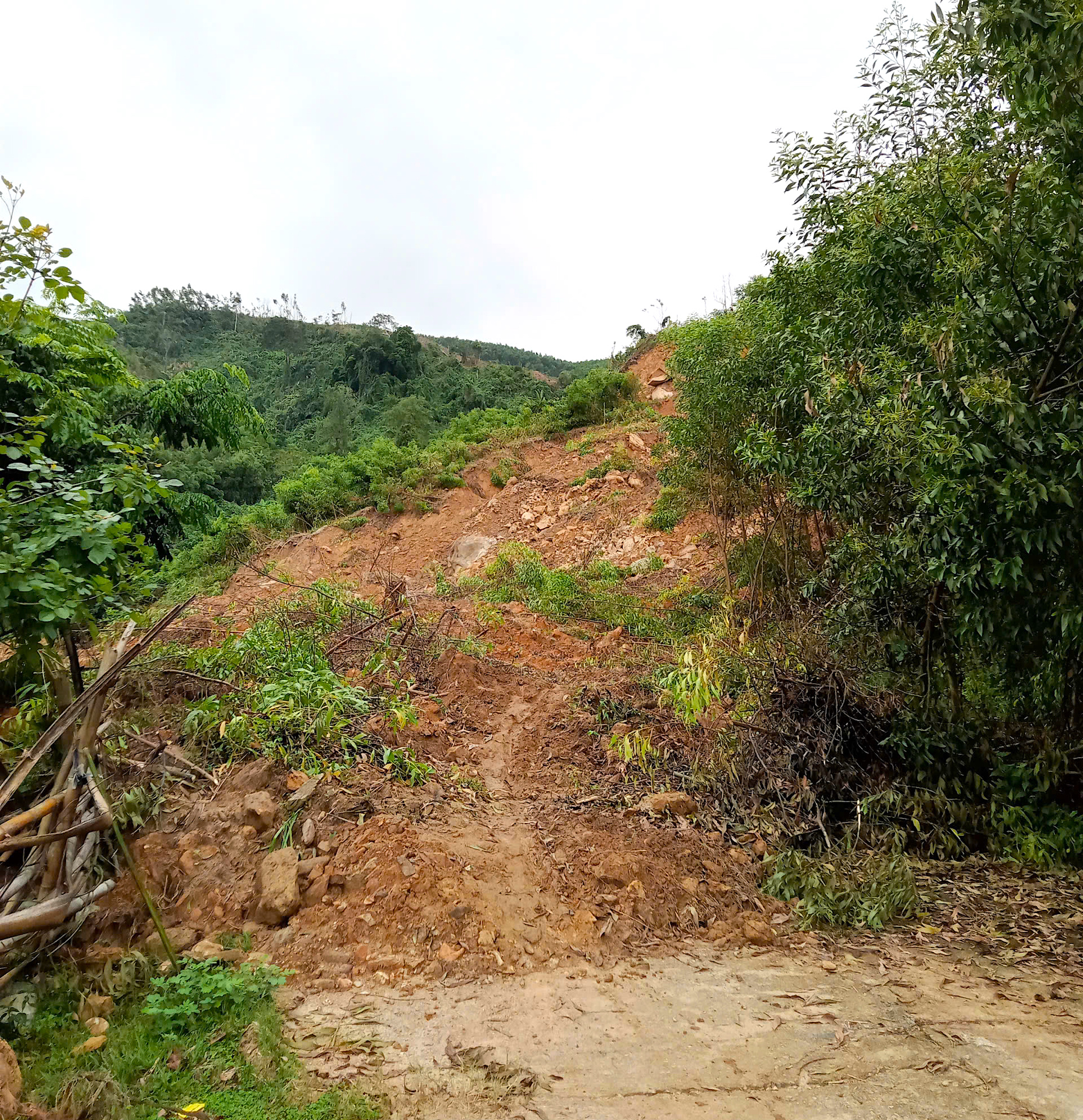 Quảng Ngãi: Đường sụp thành vực sâu, hàng trăm hộ dân bị chia cắt- Ảnh 2.