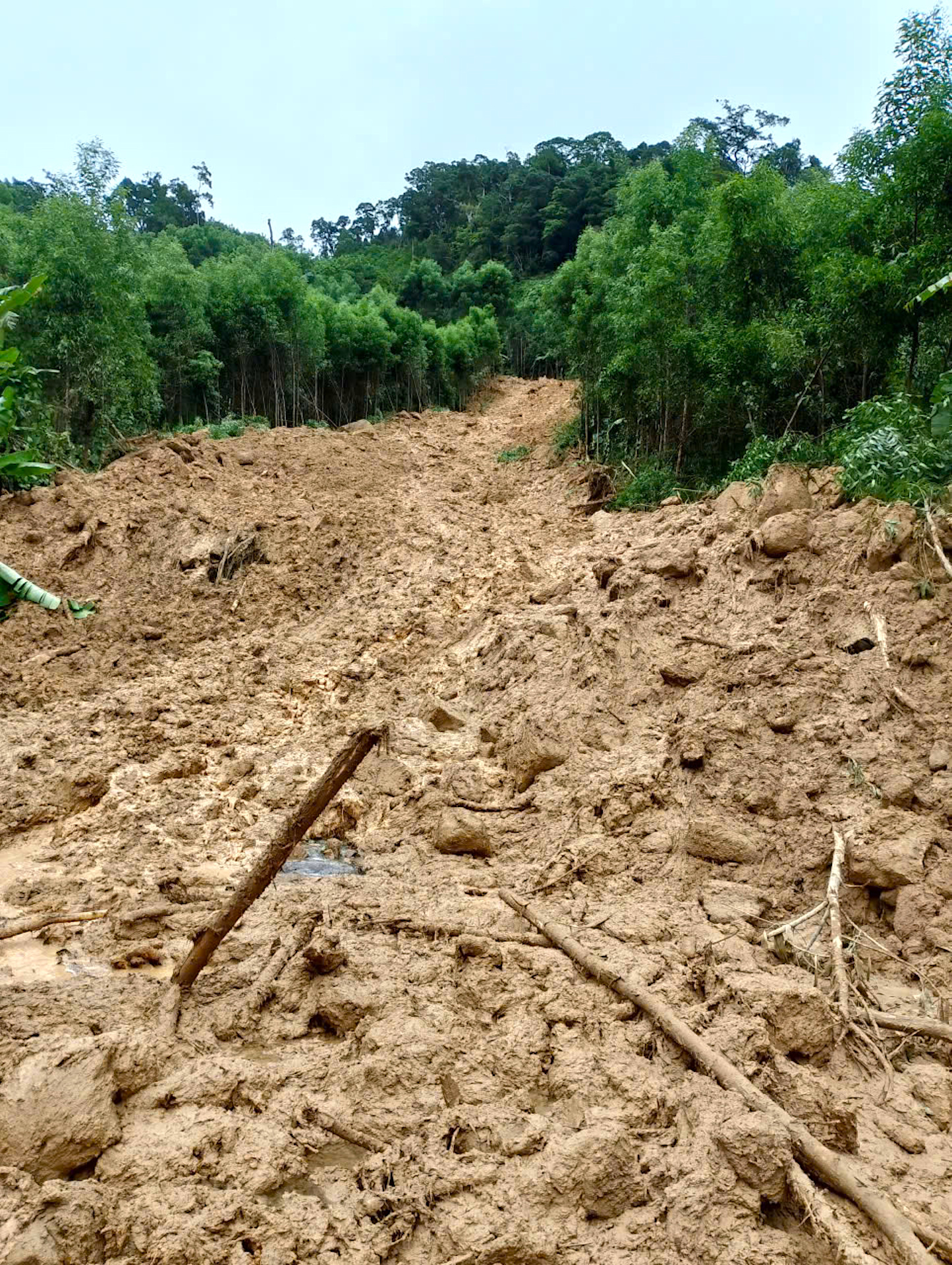 Quảng Ngãi: Đường sụp thành vực sâu, hàng trăm hộ dân bị chia cắt- Ảnh 6.