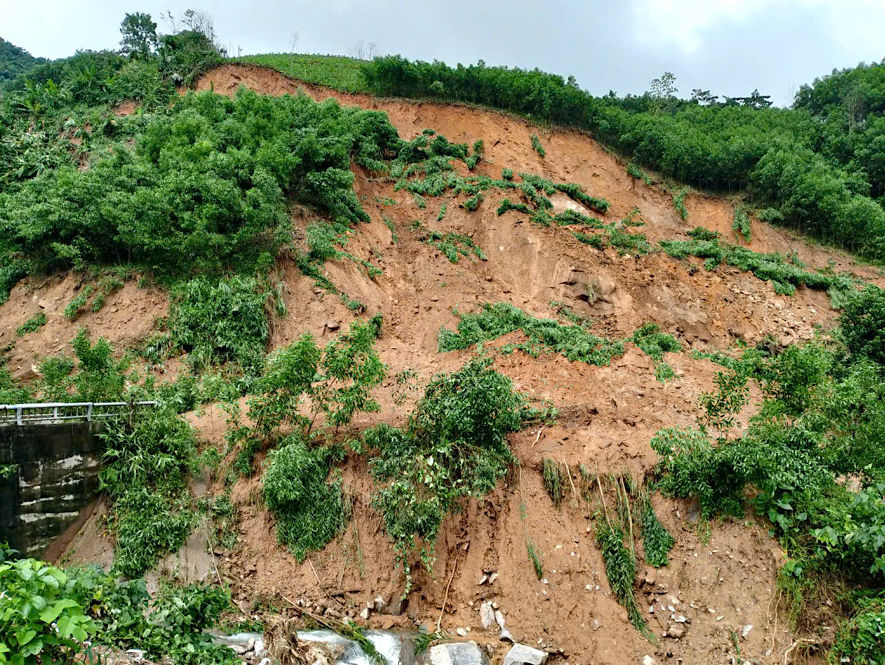 Quảng Ngãi: Đường sụp thành vực sâu, hàng trăm hộ dân bị chia cắt- Ảnh 7.