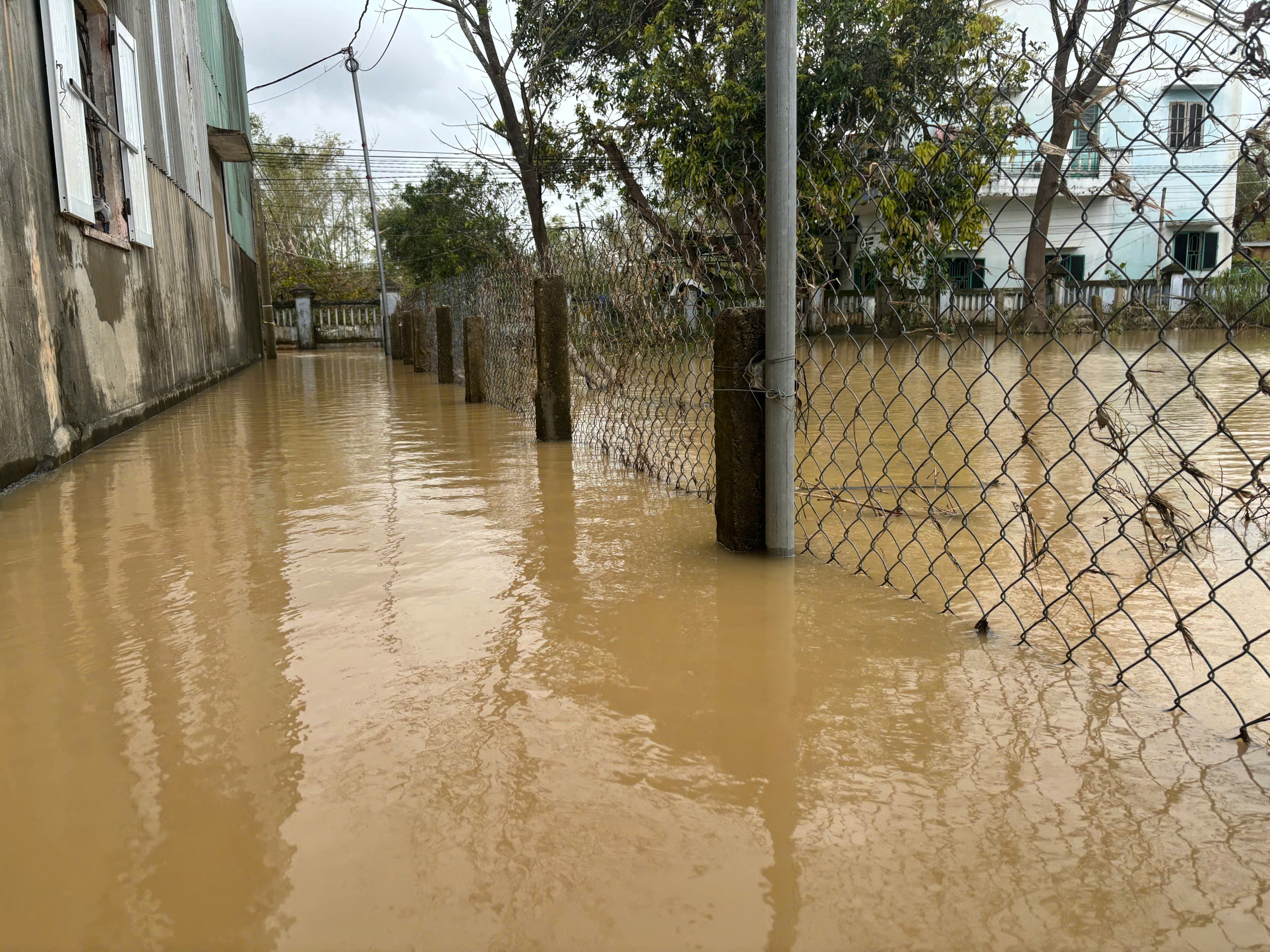 Gia Lai: Đêm và sáng 24/11 mưa lớn, nhiều khu vực ngập trở lại- Ảnh 1.