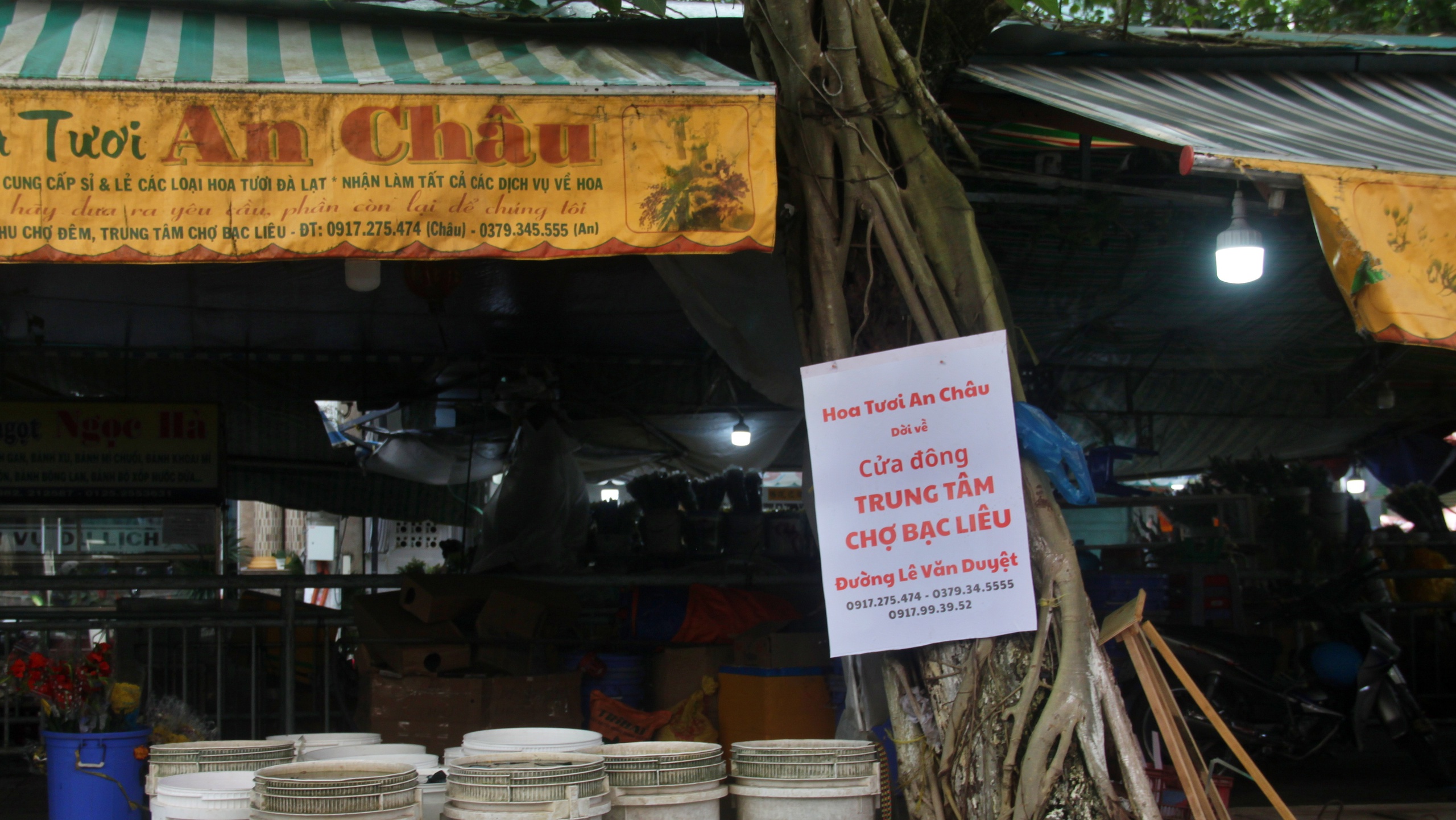 Cà Mau: Di dời các hộ dân khu ẩm thực, chợ đêm về đường Hòa Bình- Ảnh 8.