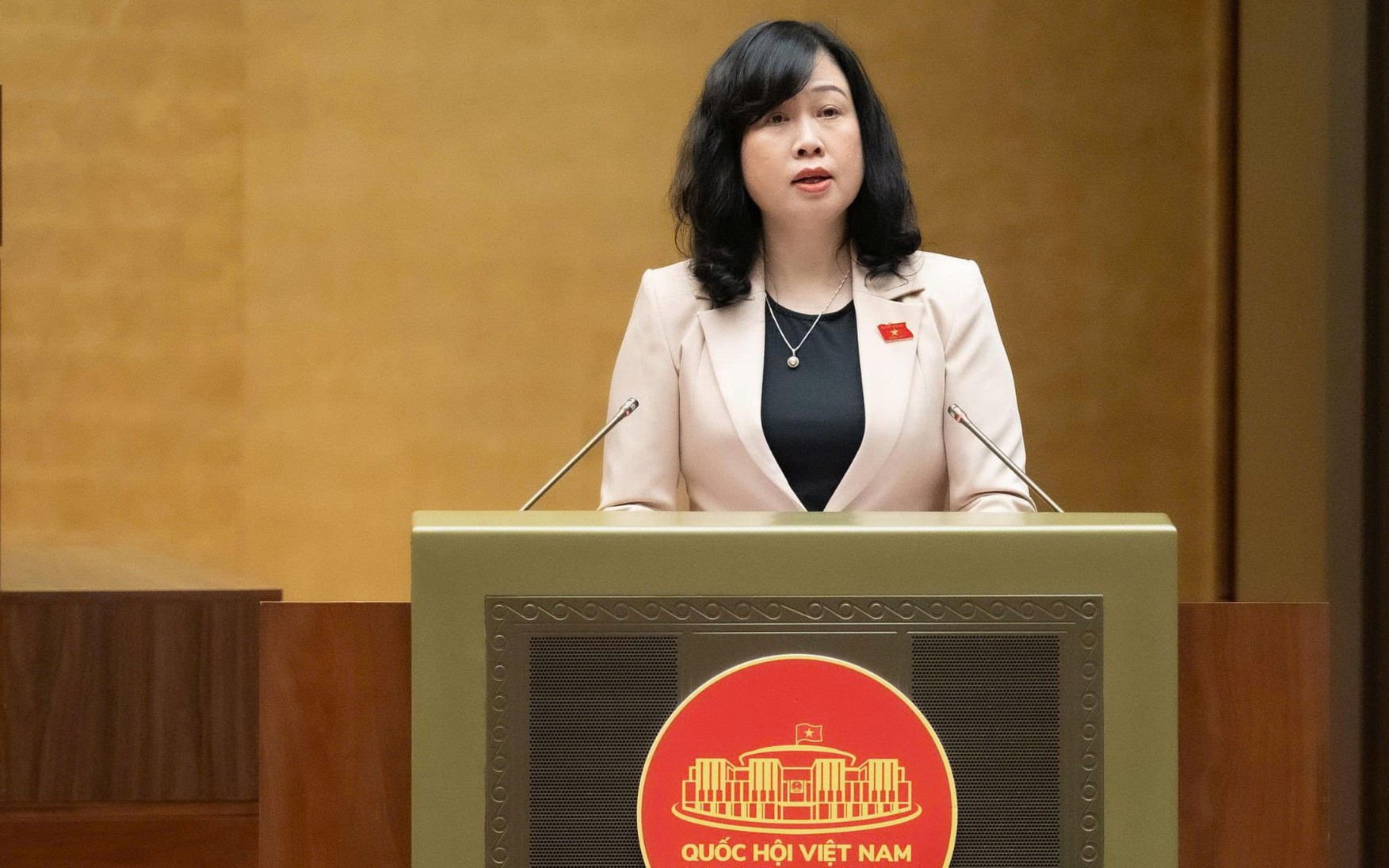 Chủ tịch Quốc hội: Đầu tư phát triển giáo dục phải đi đôi giám sát, tránh thất thoát- Ảnh 3. Chính phủ đề xuất gần 89.000 tỷ đồng chăm sóc sức khoẻ, dân số giai đoạn 2026 - 2035