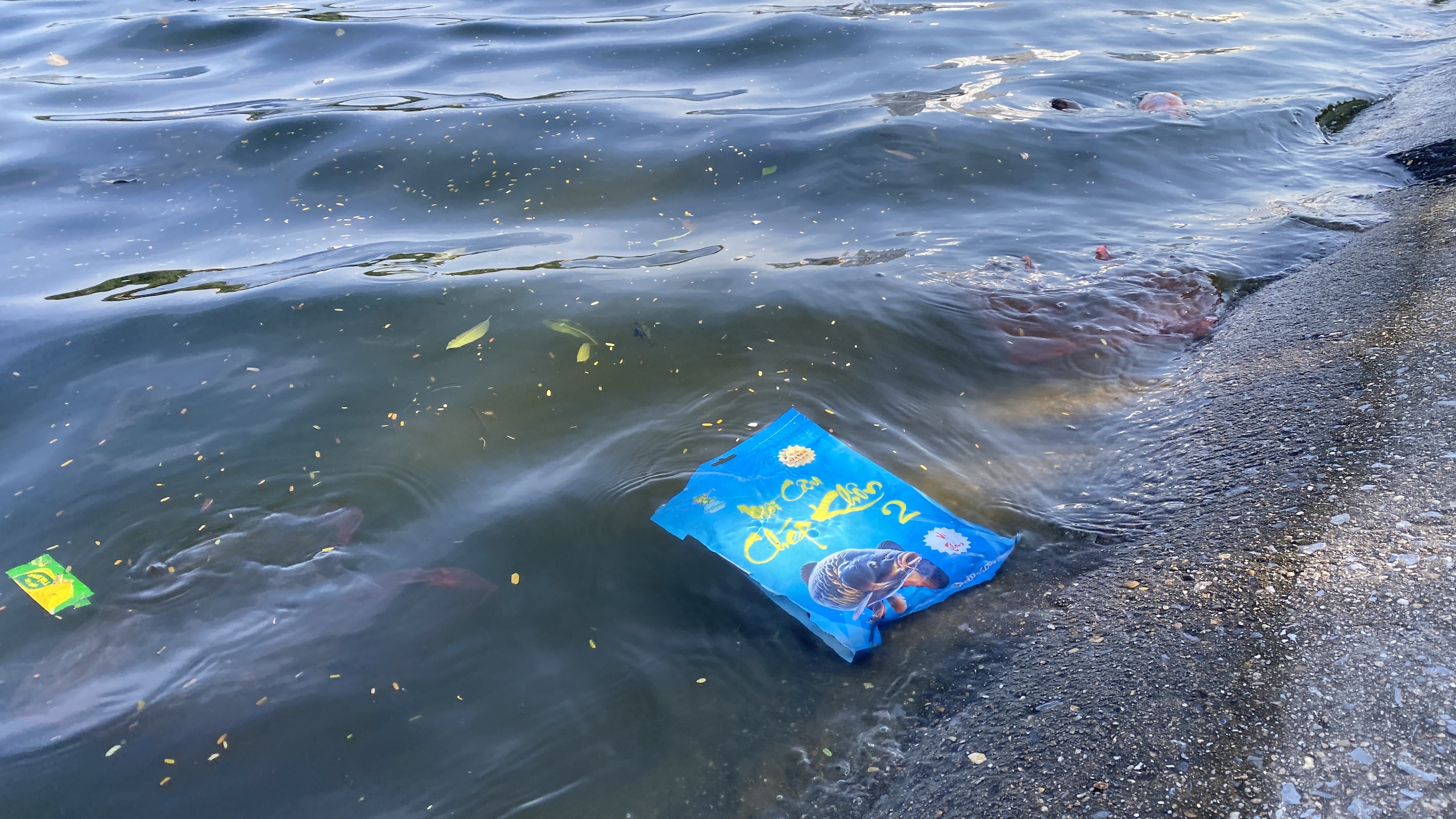 Hồ Linh Đàm ngập ngụa rác, công nhân căng mình dọn dẹp- Ảnh 9. Hồ Linh Đàm ngập ngụa rác, công nhân căng mình dọn dẹp- Ảnh 9.