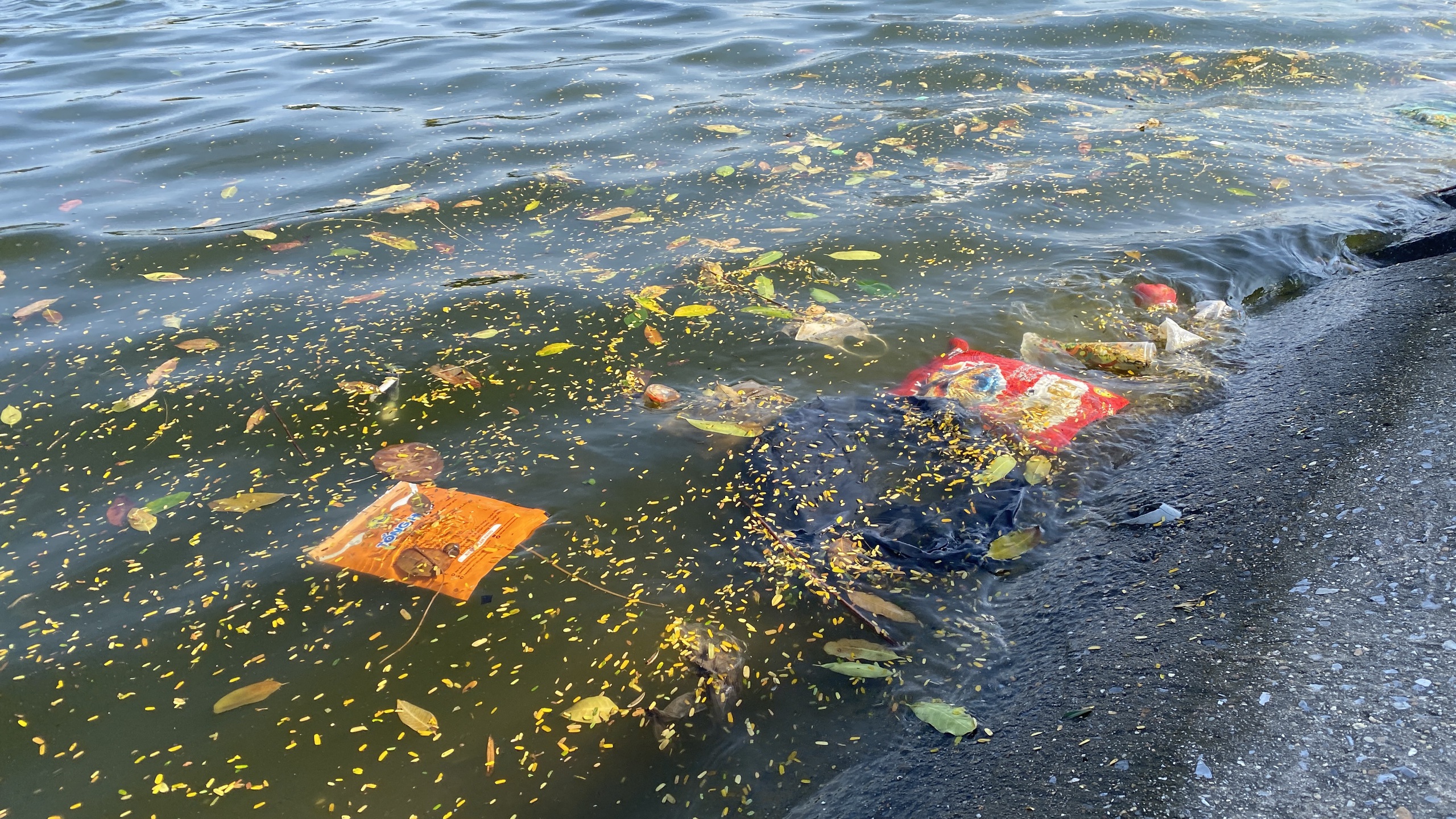 Hồ Linh Đàm ngập ngụa rác, công nhân căng mình dọn dẹp- Ảnh 12. Hồ Linh Đàm ngập ngụa rác, công nhân căng mình dọn dẹp- Ảnh 12.