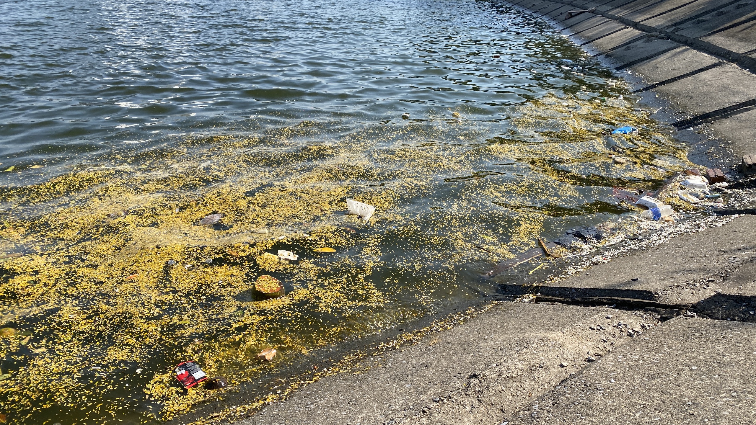 Hồ Linh Đàm ngập ngụa rác, công nhân căng mình dọn dẹp- Ảnh 13. Hồ Linh Đàm ngập ngụa rác, công nhân căng mình dọn dẹp- Ảnh 13.