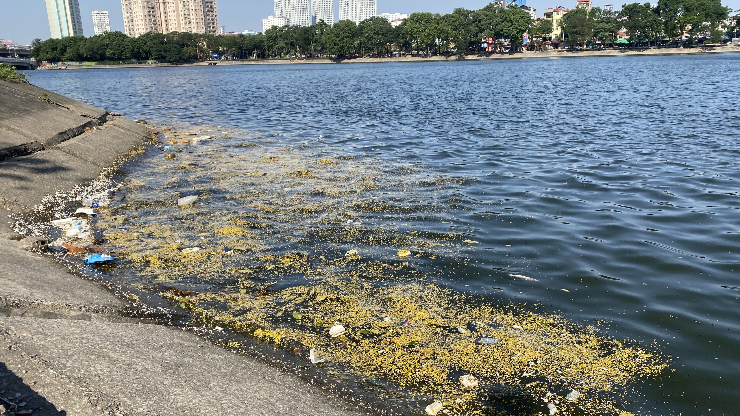 Hồ Linh Đàm ngập ngụa rác, công nhân căng mình dọn dẹp- Ảnh 11. Hồ Linh Đàm ngập ngụa rác, công nhân căng mình dọn dẹp- Ảnh 11.