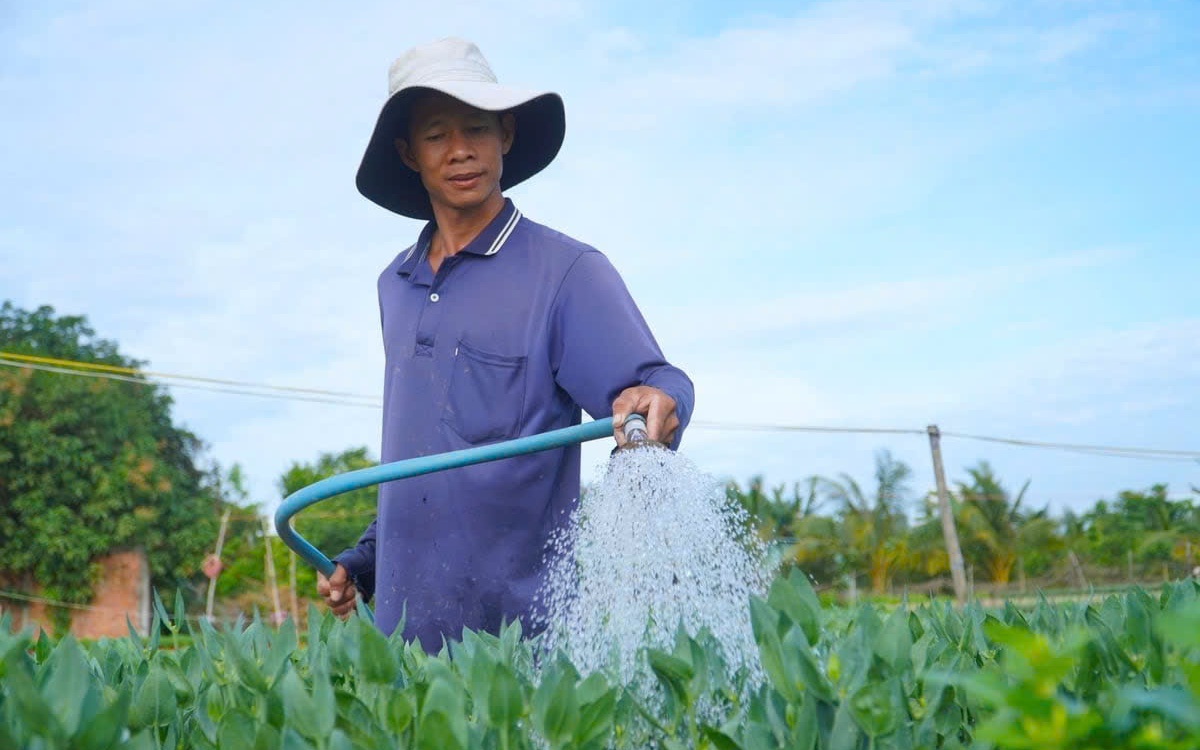 Cần Thơ tăng tốc n&acirc;ng tỷ lệ cấp nước sạch n&ocirc;ng th&ocirc;n