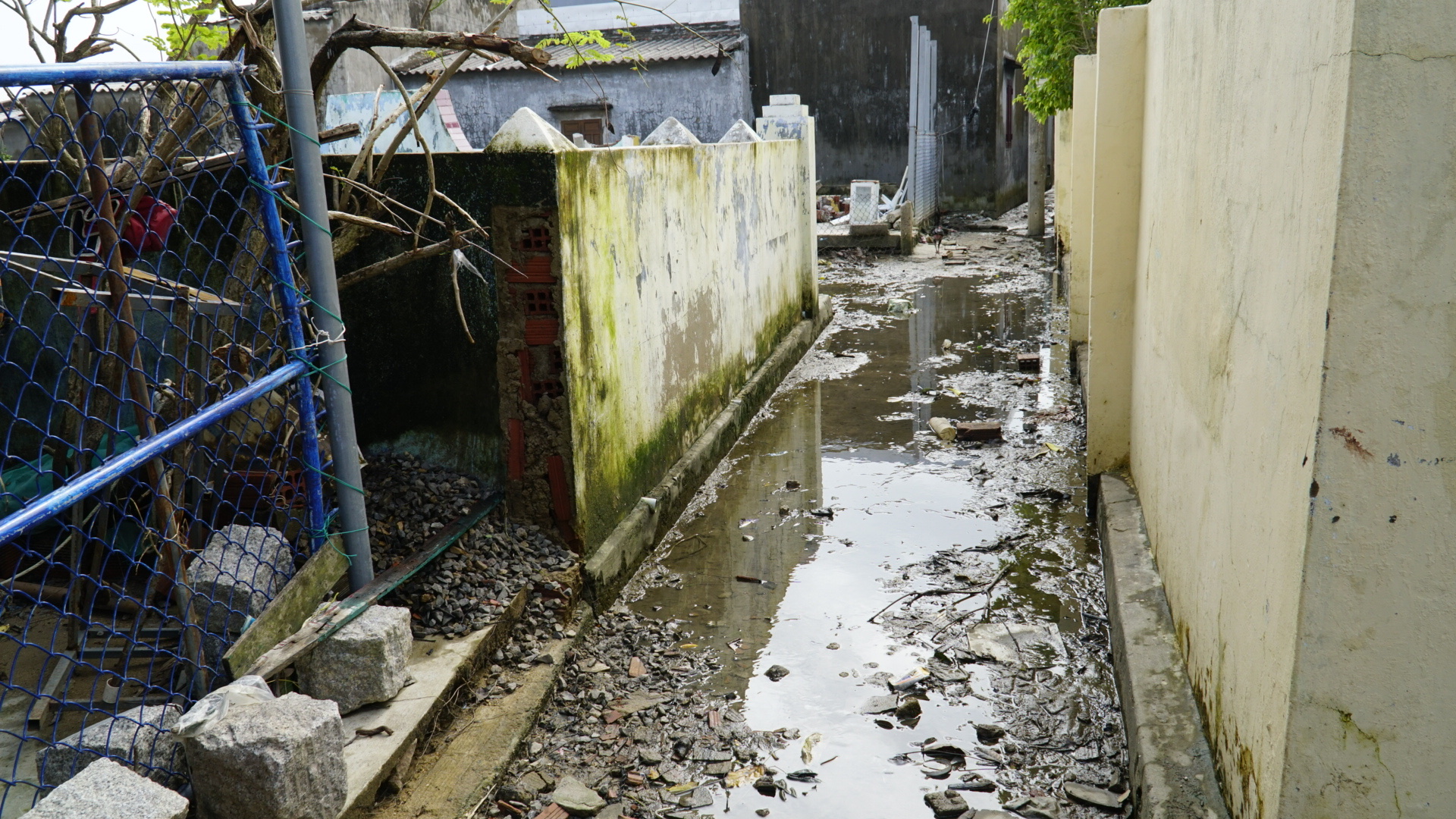 Ốc đảo Cồn Chim ở Gia Lai gượng dậy sau bão lũ- Ảnh 1. Ốc đảo Cồn Chim ở Gia Lai gượng dậy sau bão lũ- Ảnh 1.