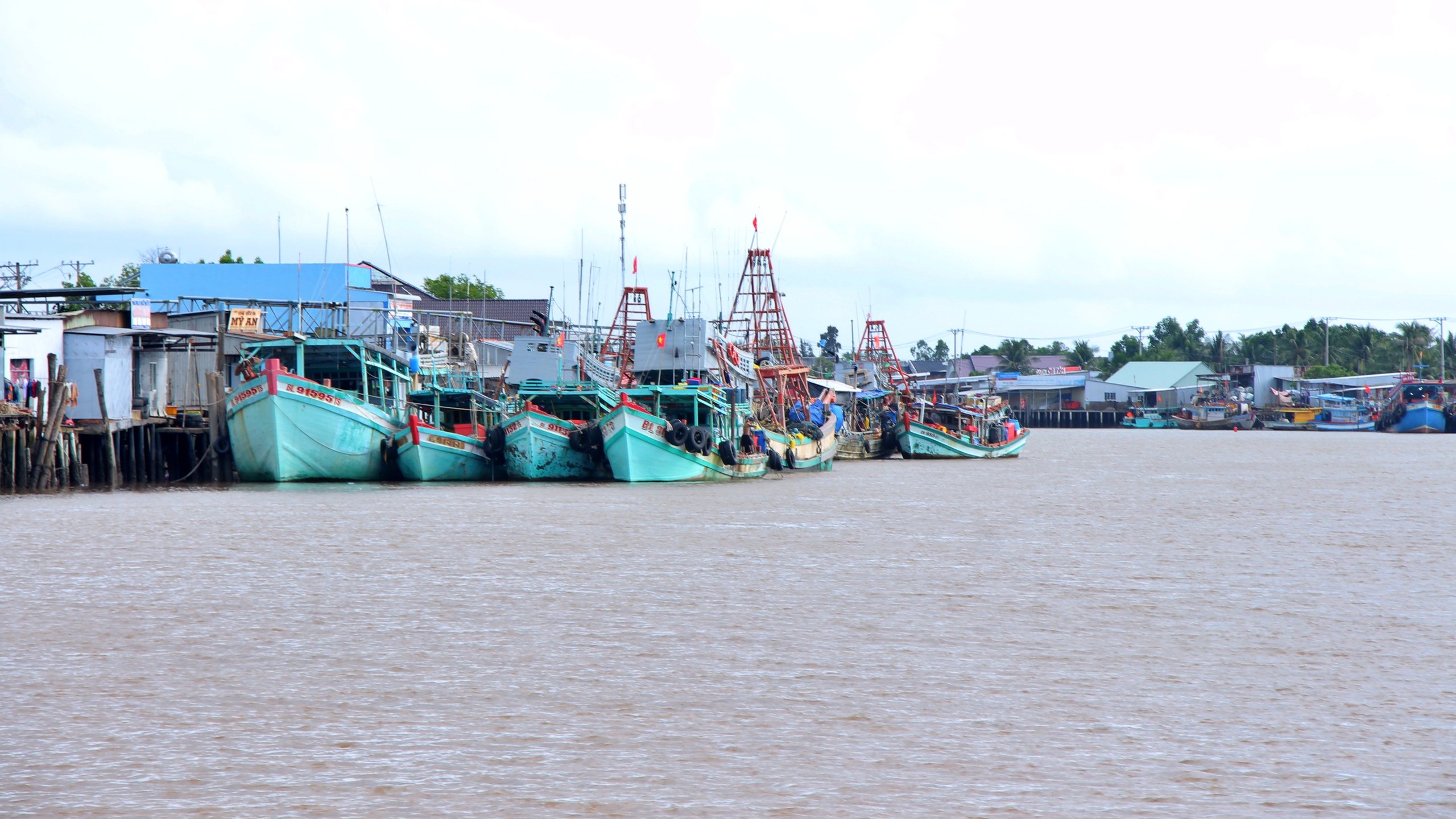 Cà Mau: 100% dữ liệu tàu cá được cập nhật, giám sát trên hệ thống- Ảnh 2.