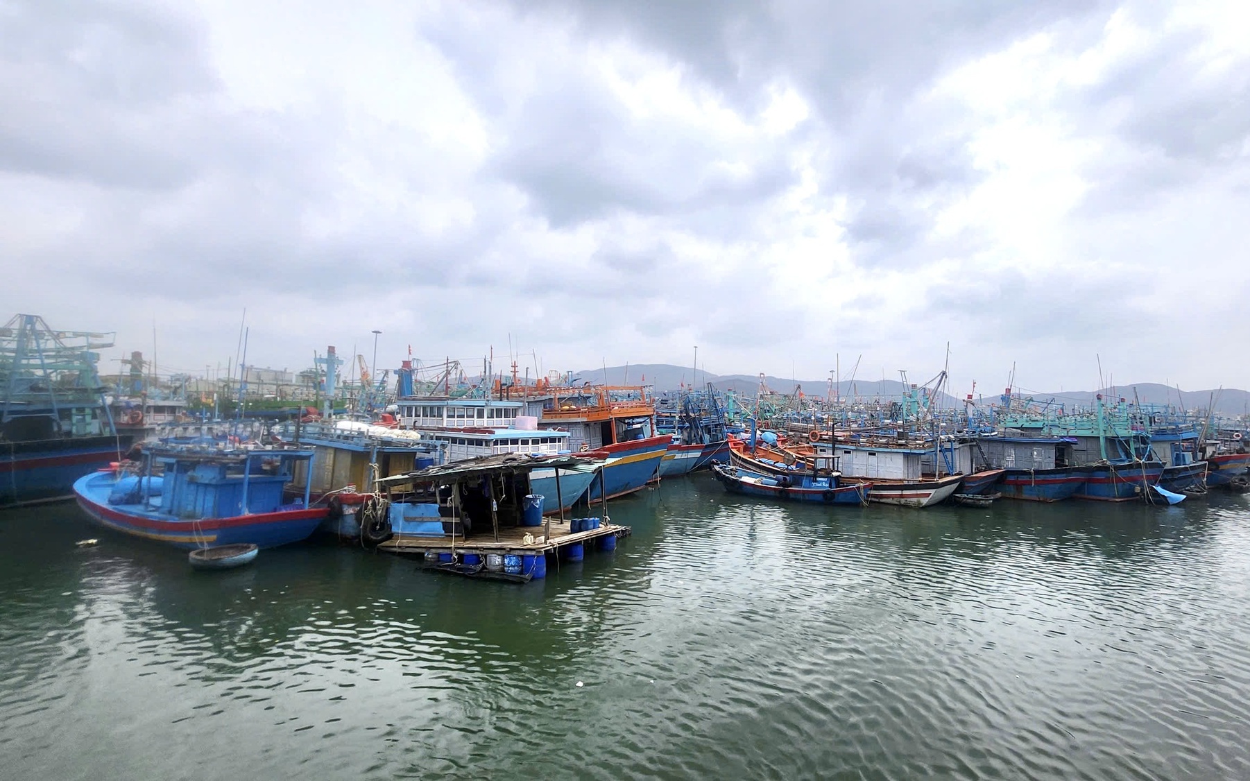 Gia Lai kêu gọi hơn 5.400 tàu thuyền khẩn trương vào bờ tránh bão số 15