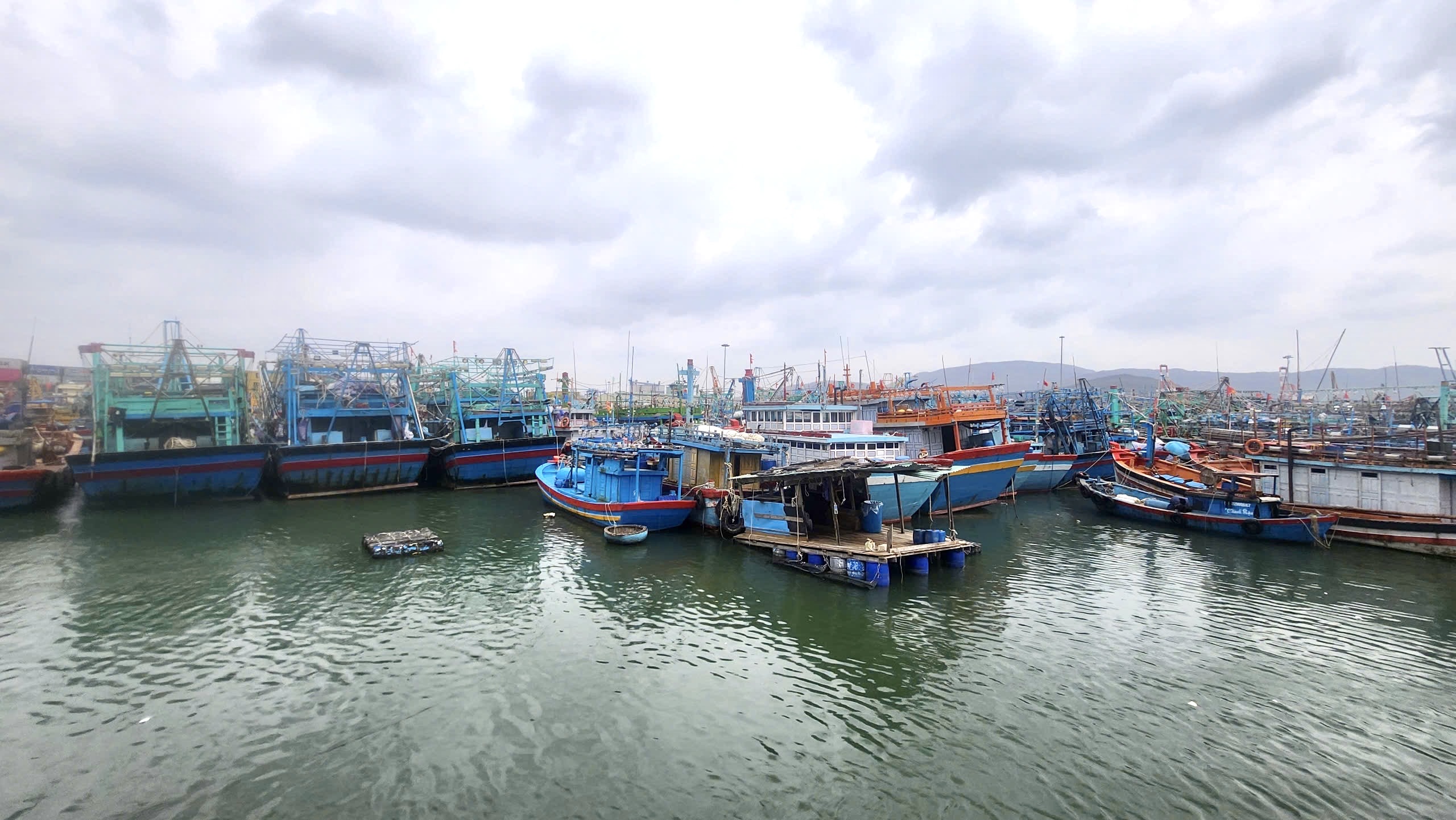 Gia Lai kêu gọi hơn 5.400 tàu thuyền khẩn trương vào bờ tránh bão số 15- Ảnh 1.