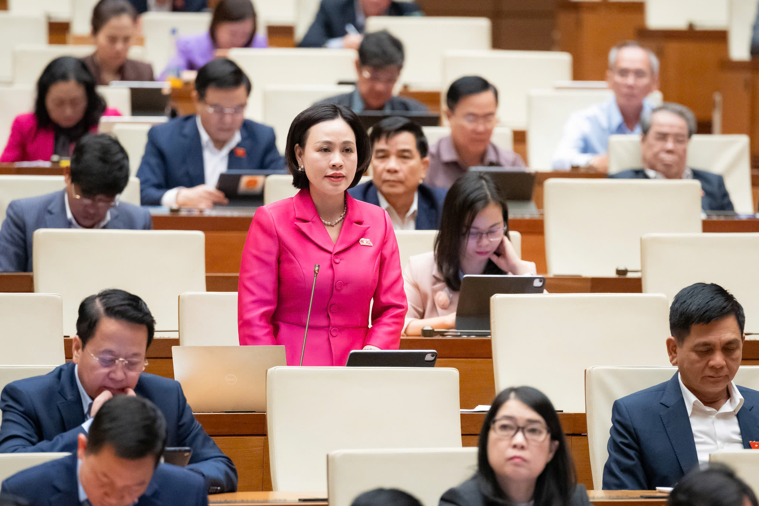 ĐBQH: Quy hoạch cần gắn với quản trị rủi ro thiên tai- Ảnh 2.