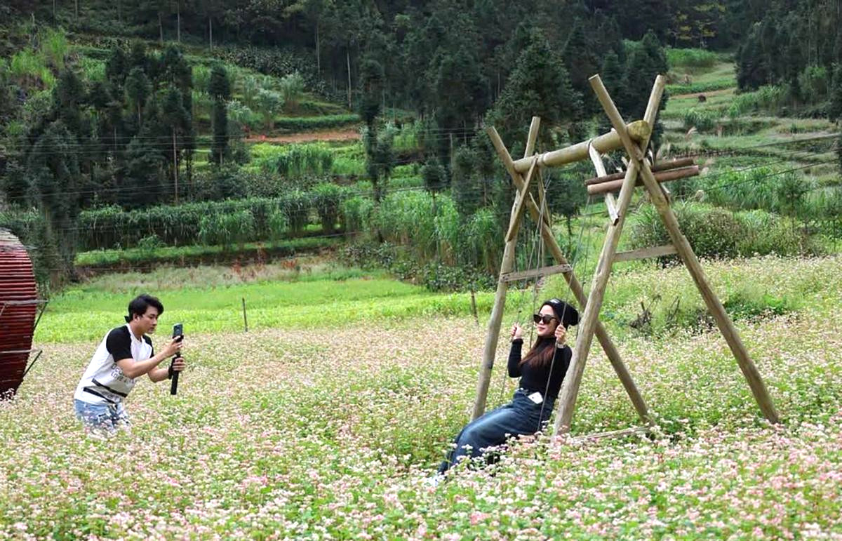 Tuyên Quang phân luồng, đảm bảo an toàn giao thông dịp lễ hội Hoa tam giác mạch- Ảnh 2.