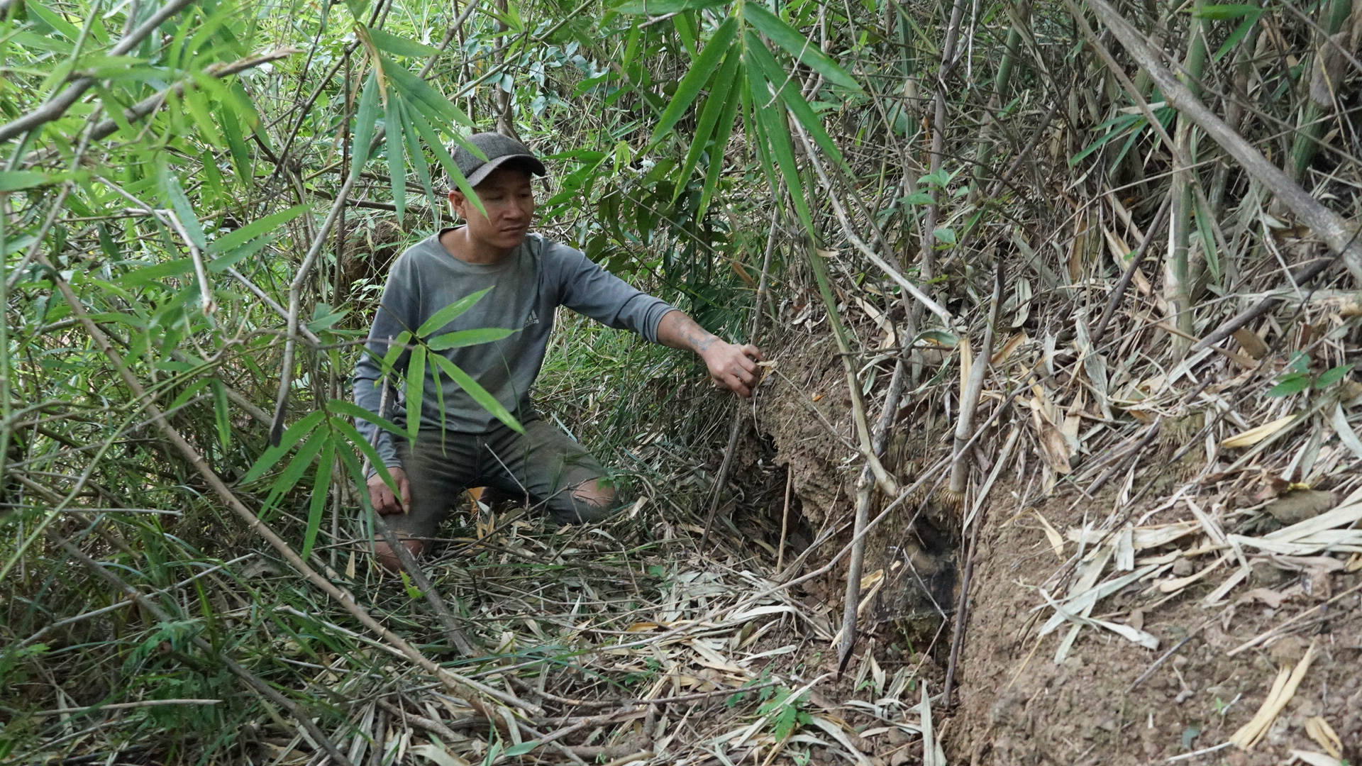 Gia Lai: Vết nứt xuất hiện trên đồi, chính quyền chủ động phương án bảo vệ khu dân cư- Ảnh 4. Gia Lai: Vết nứt xuất hiện trên đồi, chính quyền chủ động phương án bảo vệ khu dân cư- Ảnh 4.