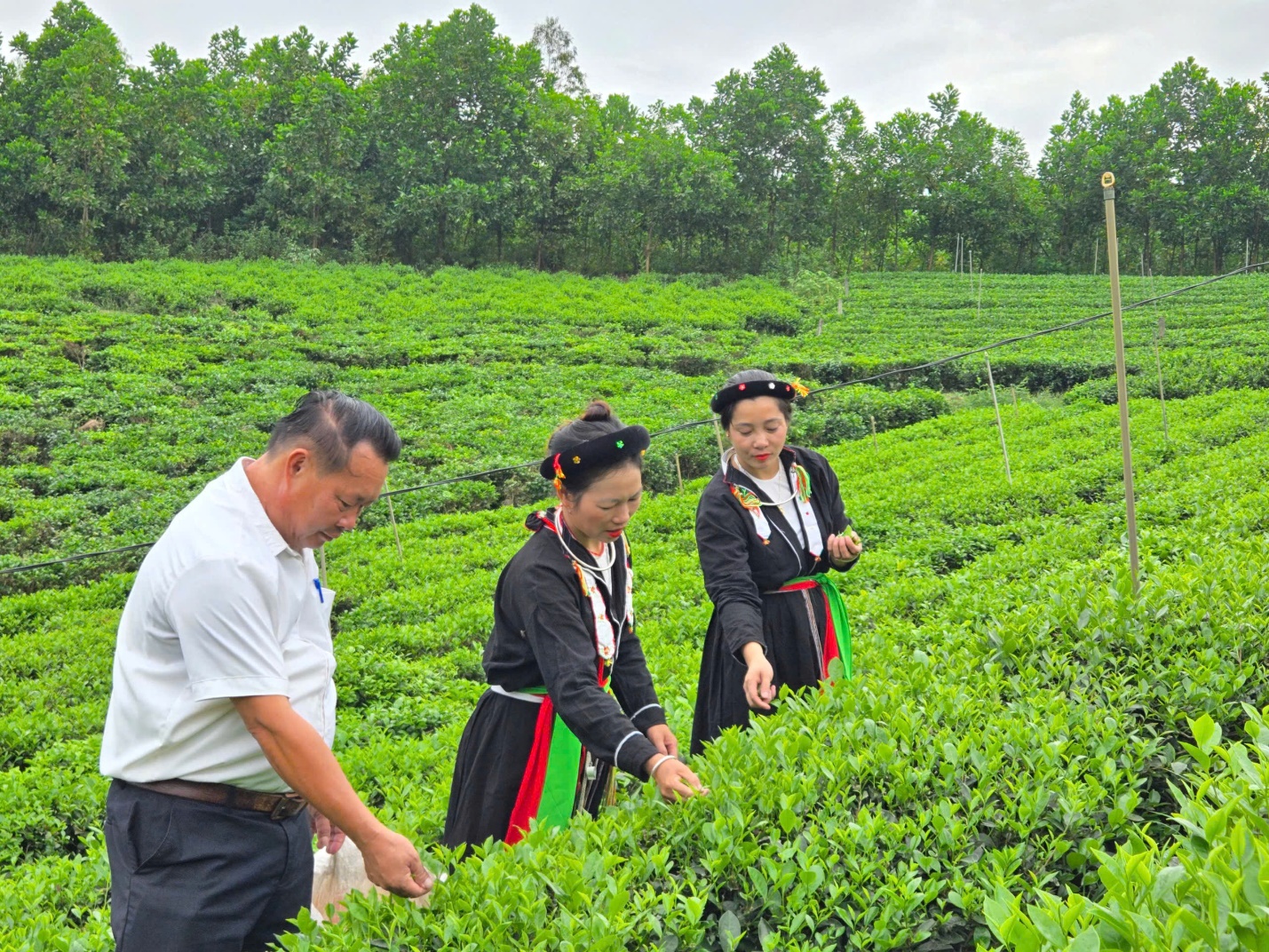 Thái Nguyên: Xã Vô Tranh hướng tới nông thôn mới hiện đại, bền vững và giàu bản sắc- Ảnh 2.