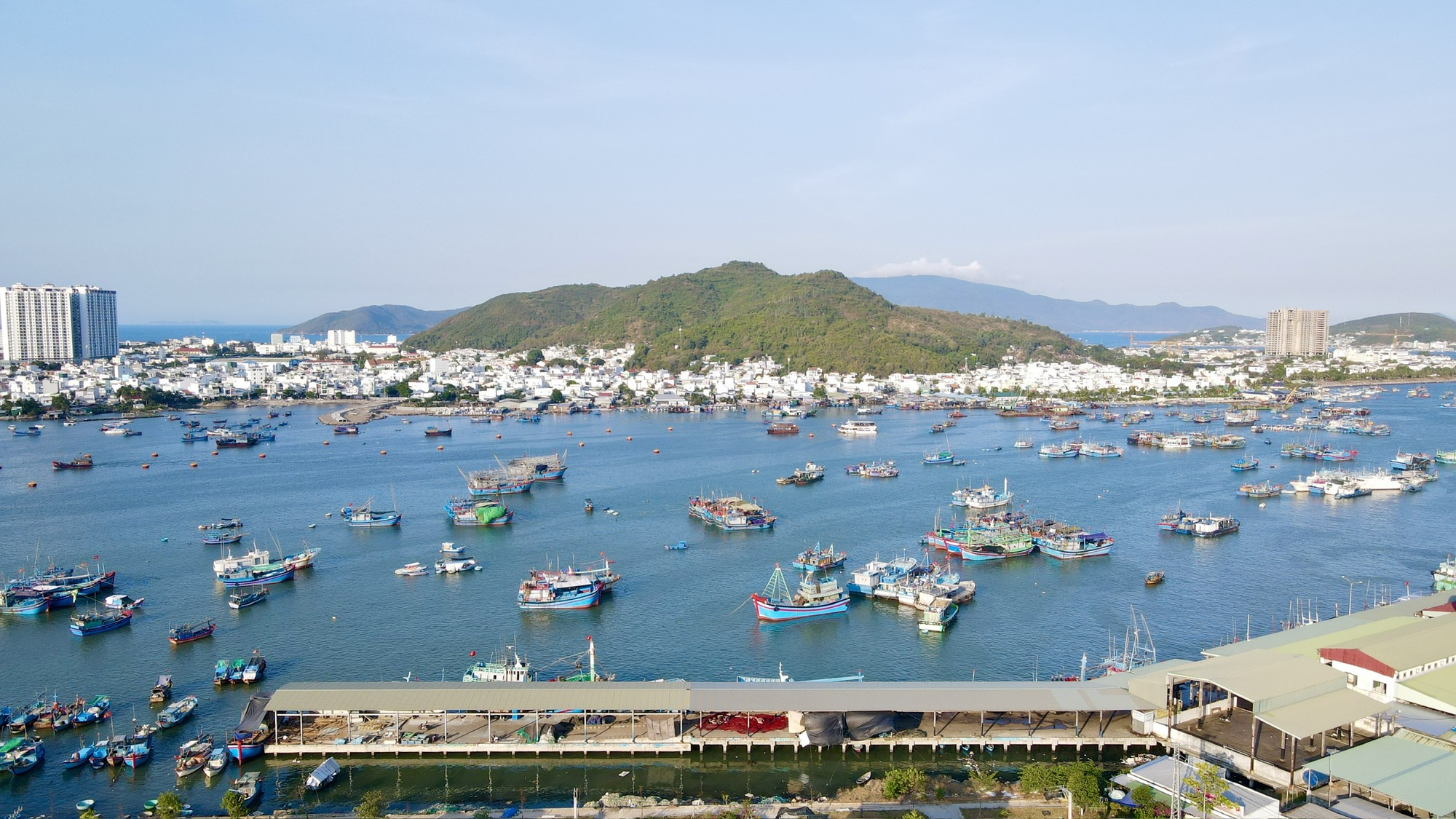 Bão Kalmaegi áp sát Biển Đông, Đà Nẵng - Khánh Hòa khẩn trương phòng chống- Ảnh 1.