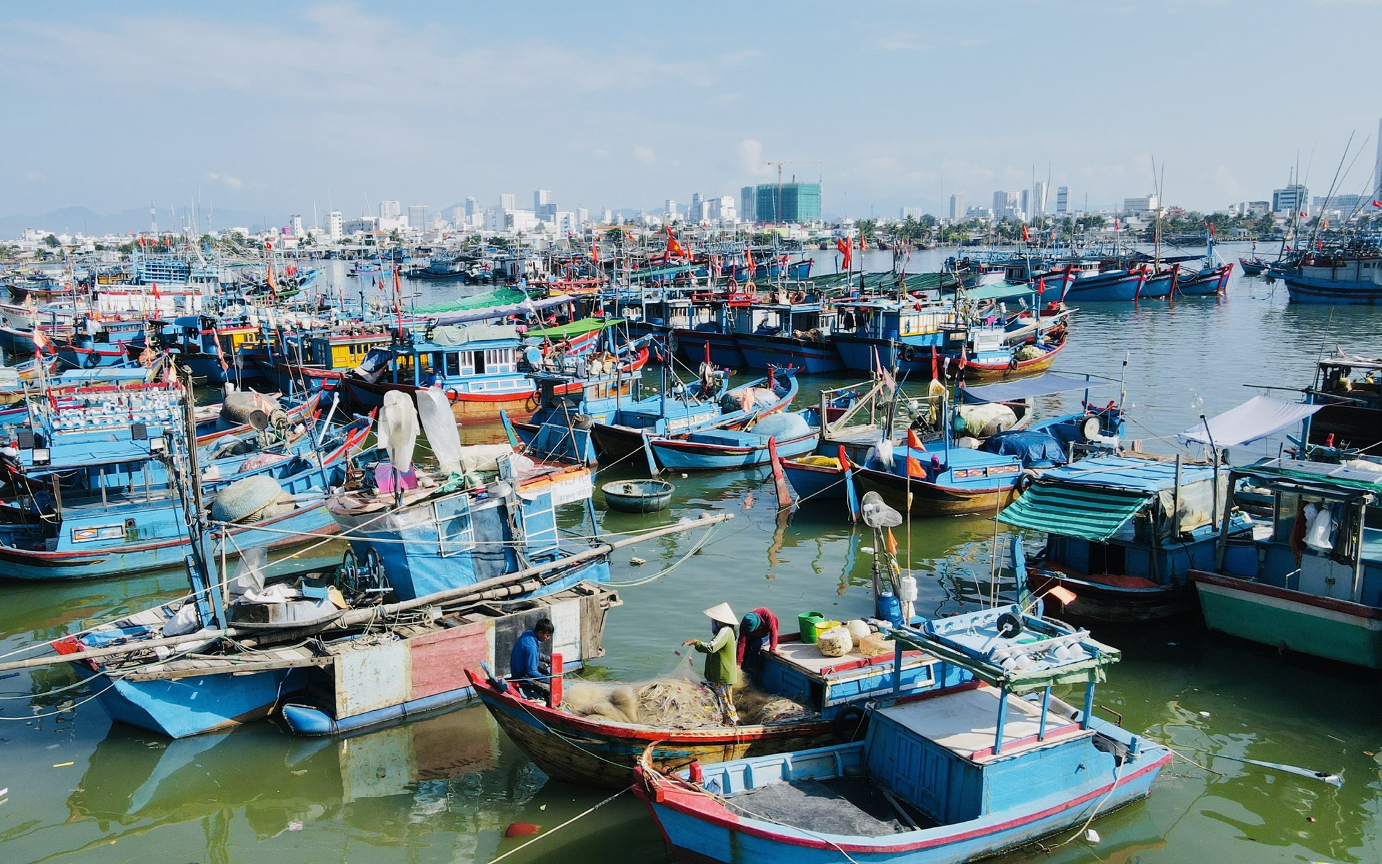 Bão Kalmaegi áp sát Biển Đông, Đà Nẵng - Khánh Hòa khẩn trương phòng chống