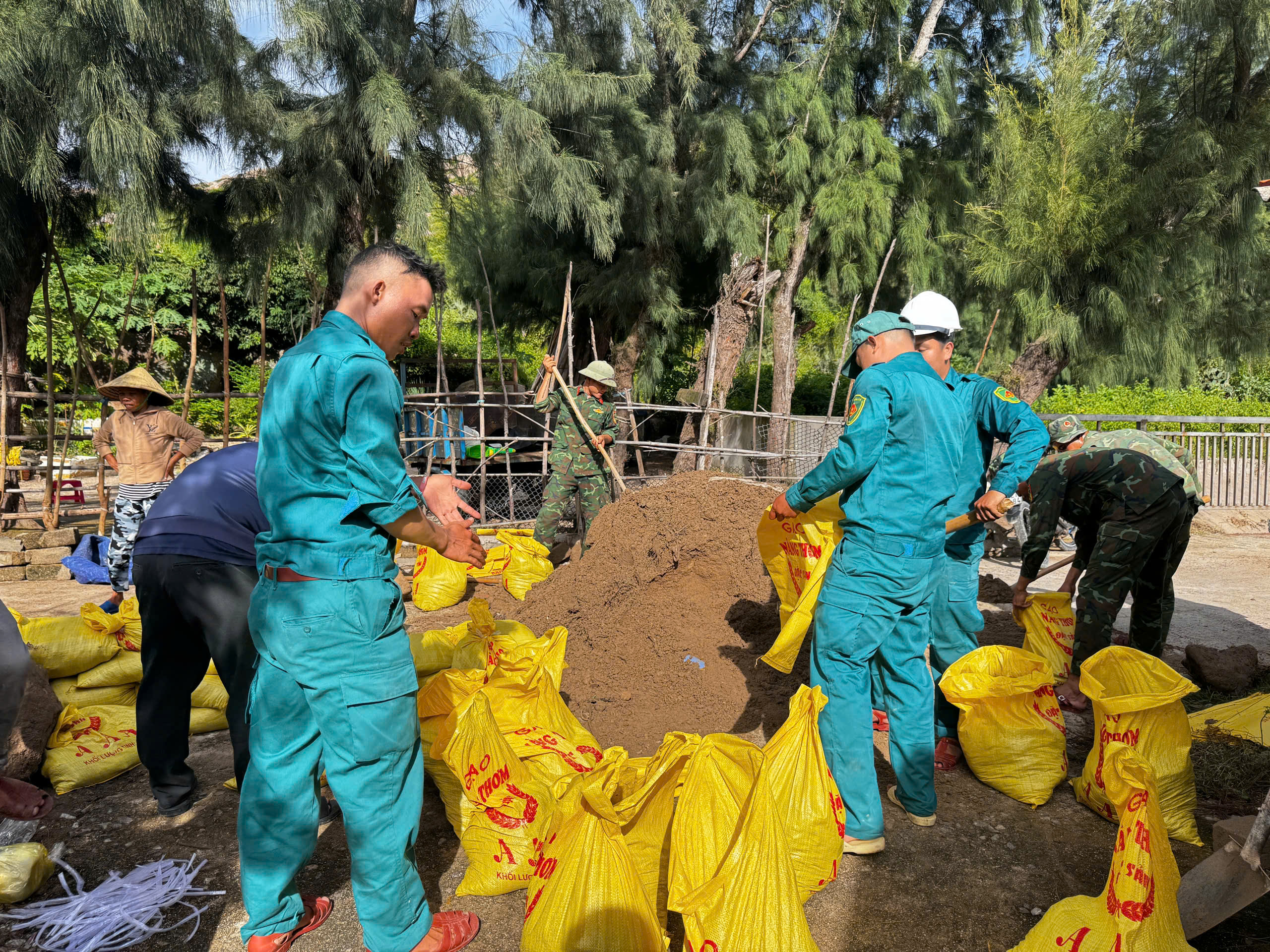 Bão Kalmaegi áp sát Biển Đông, Đà Nẵng - Khánh Hòa khẩn trương phòng chống- Ảnh 4.