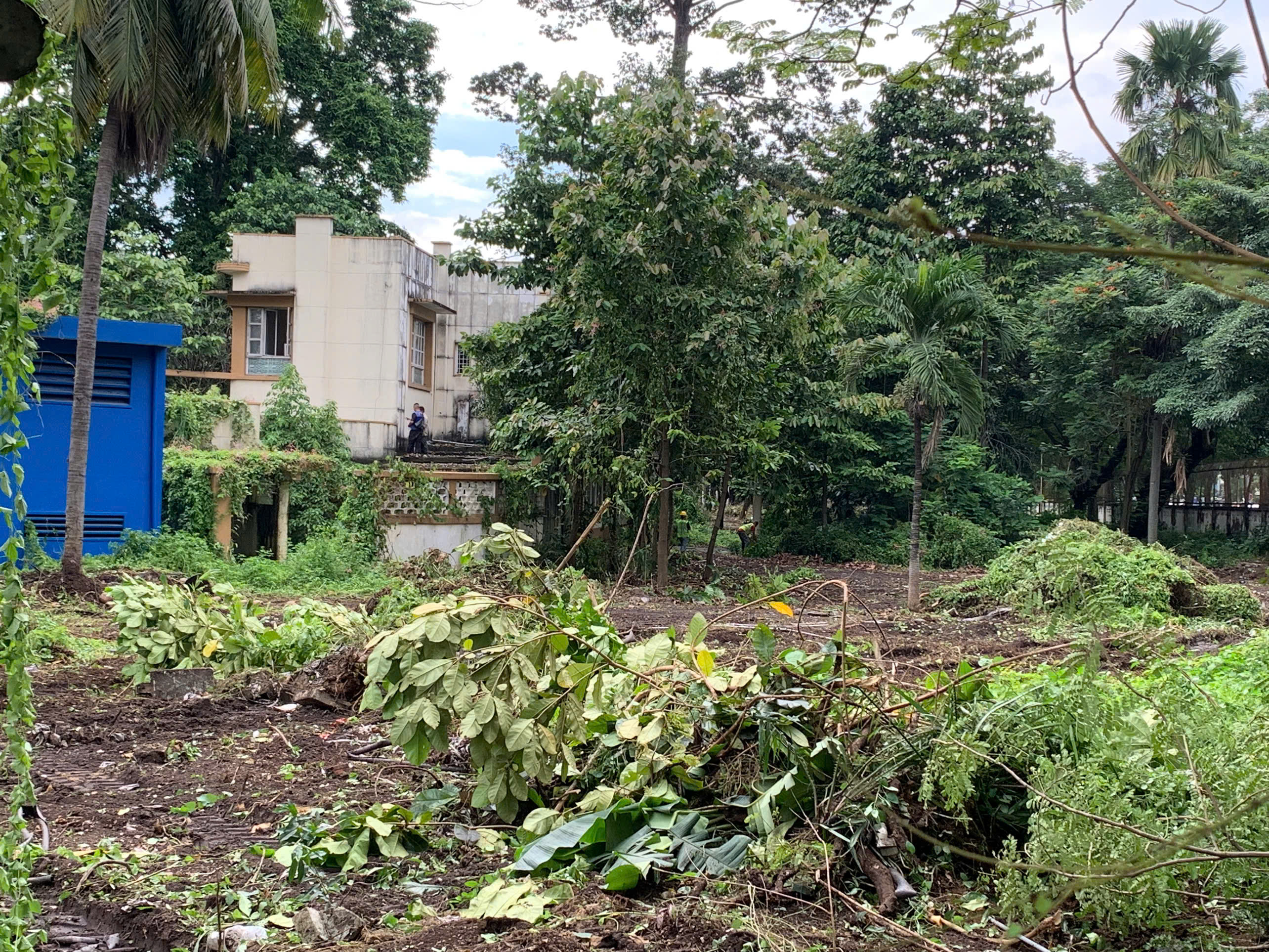 Rốt ráo dọn dẹp khu "đất vàng" để xây công viên và Đài tưởng niệm nạn nhân Covid-19- Ảnh 4.