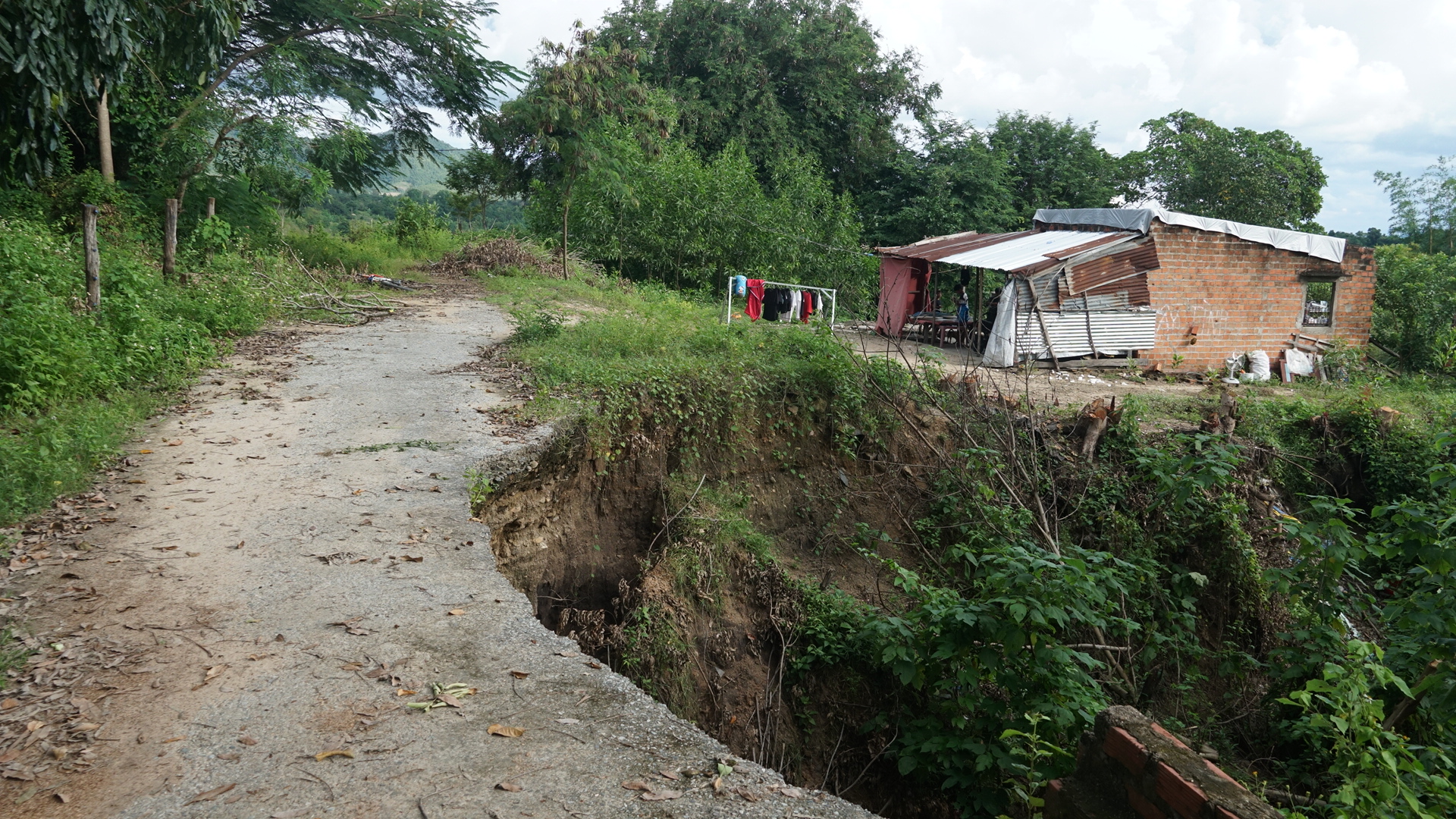 Toàn cảnh sạt lở bờ sông Ba cuốn trôi 100ha đất, hơn 3.500 người dân Gia Lai bị ảnh hưởng- Ảnh 6. Toàn cảnh sạt lở bờ sông Ba cuốn trôi 100ha đất, hơn 3.500 người dân Gia Lai bị ảnh hưởng- Ảnh 6.